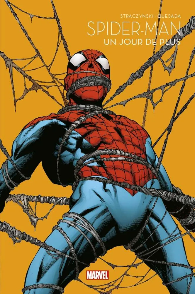 Spider-Man book cover