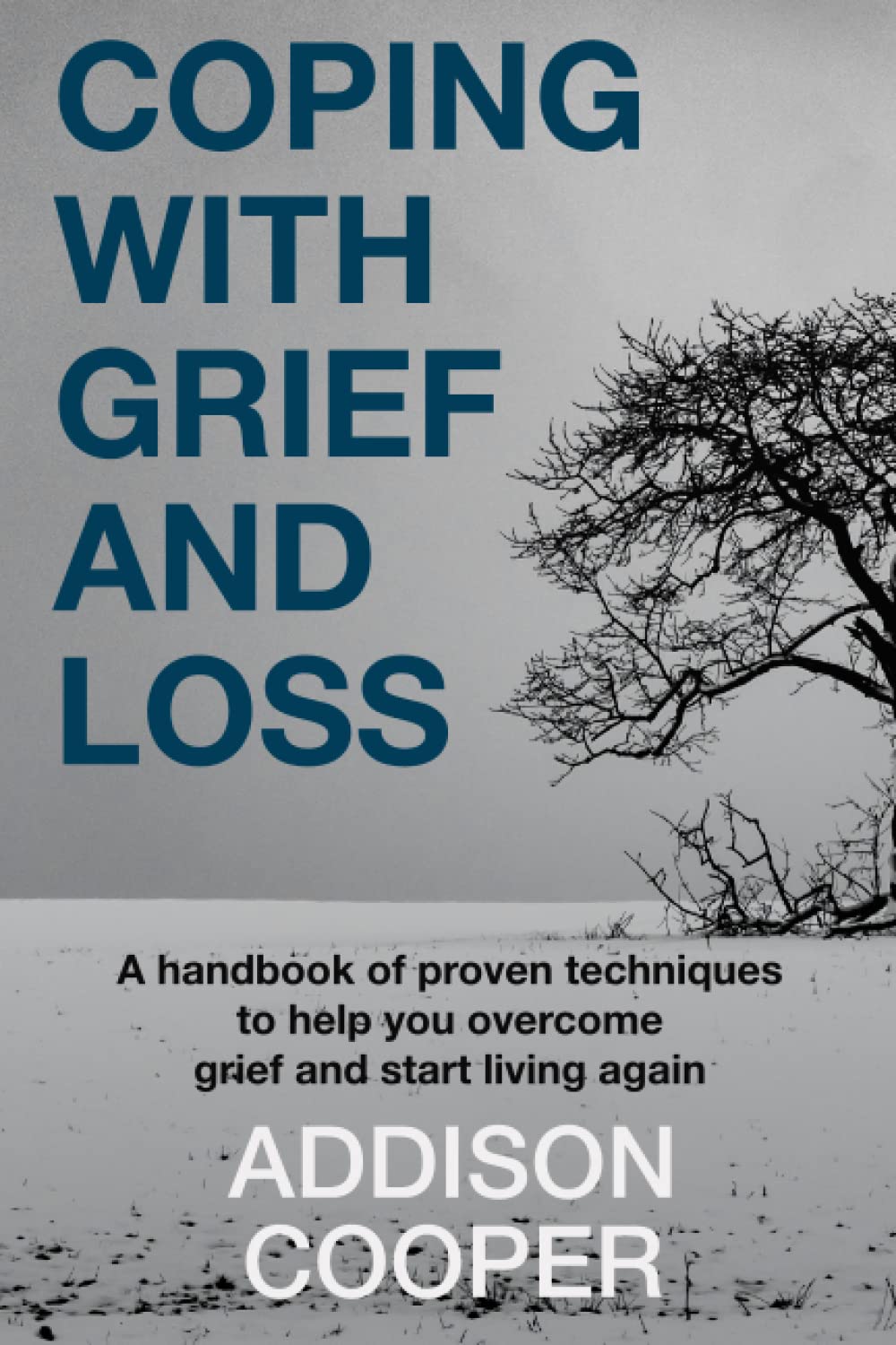 Coping With Grief And Loss: A handbook of proven techniques to help you
