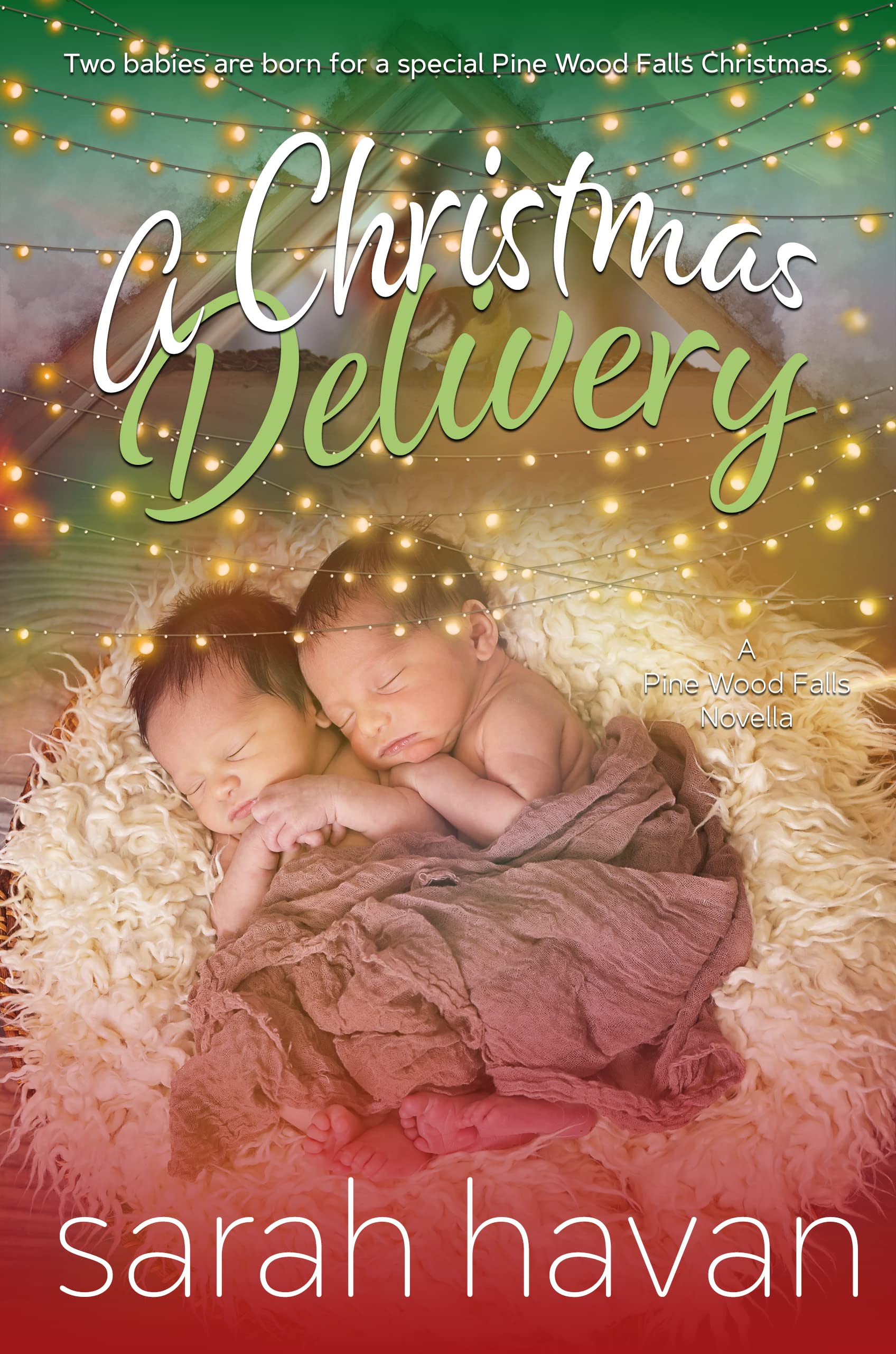 A Christmas Delivery