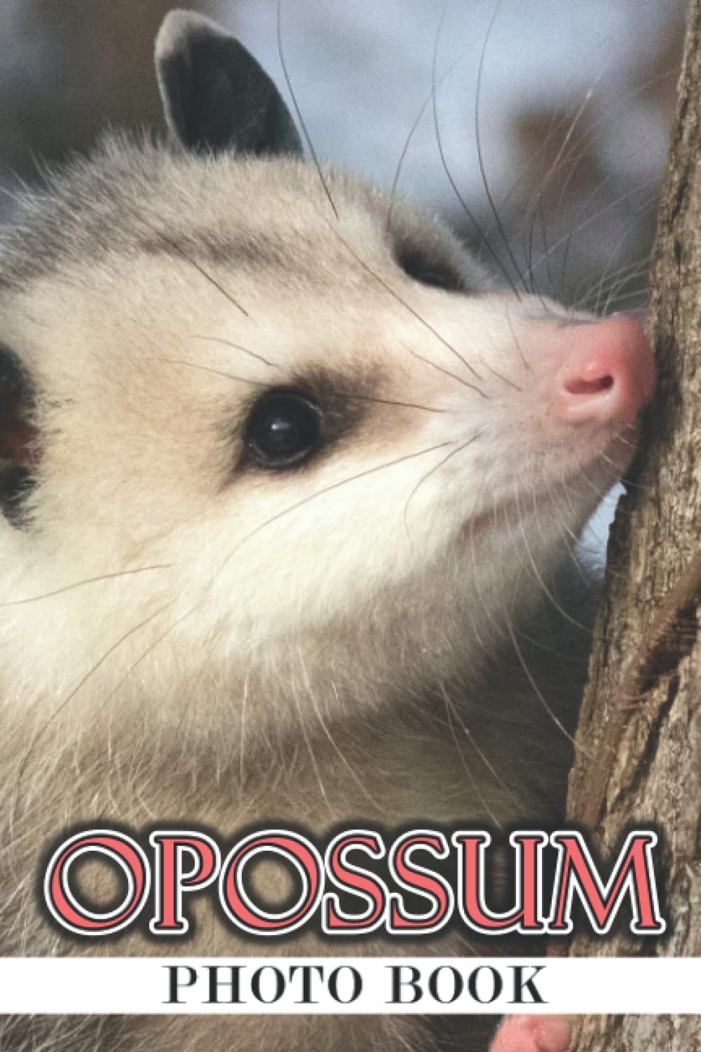 Opossum Photo Book: Wild Life Animals Colorful Photograph Album For All ...