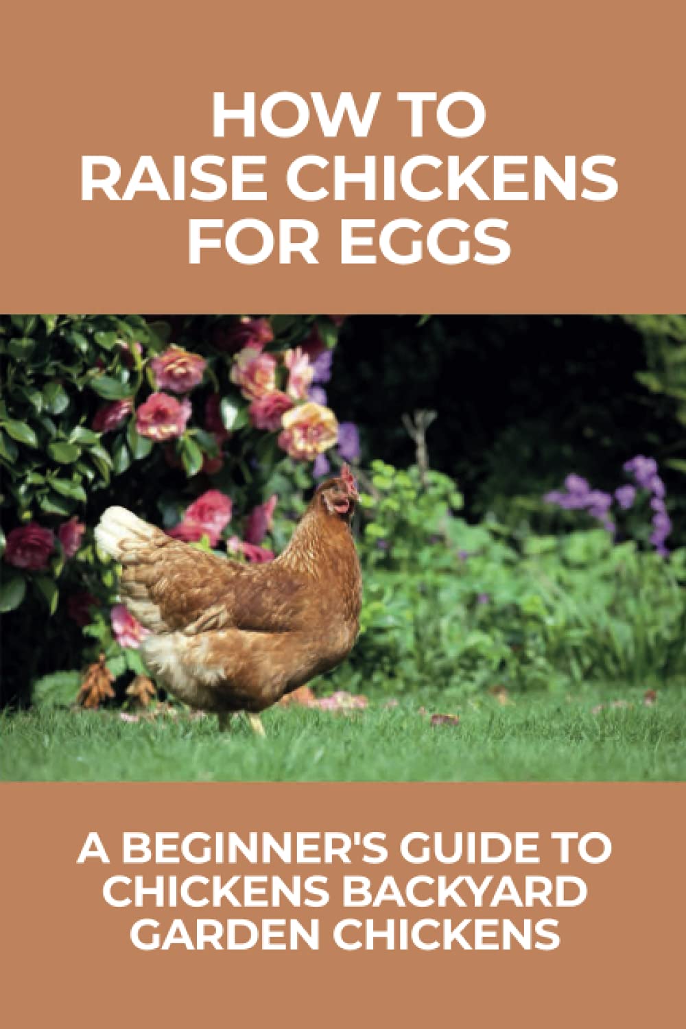 How To Raise Chickens For Eggs A Beginner's Guide To Chickens Backyard