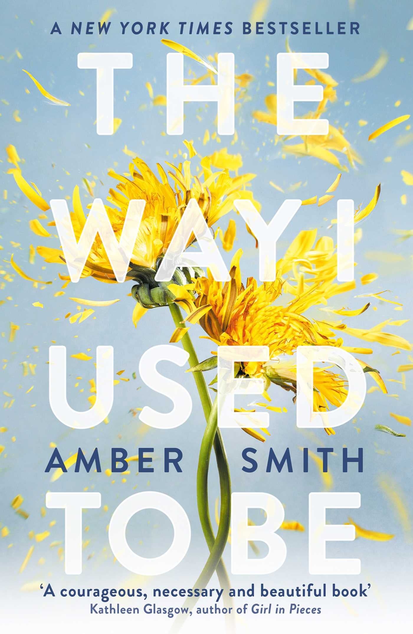 The Way I Used to Be (The Way I Used to Be, #1)