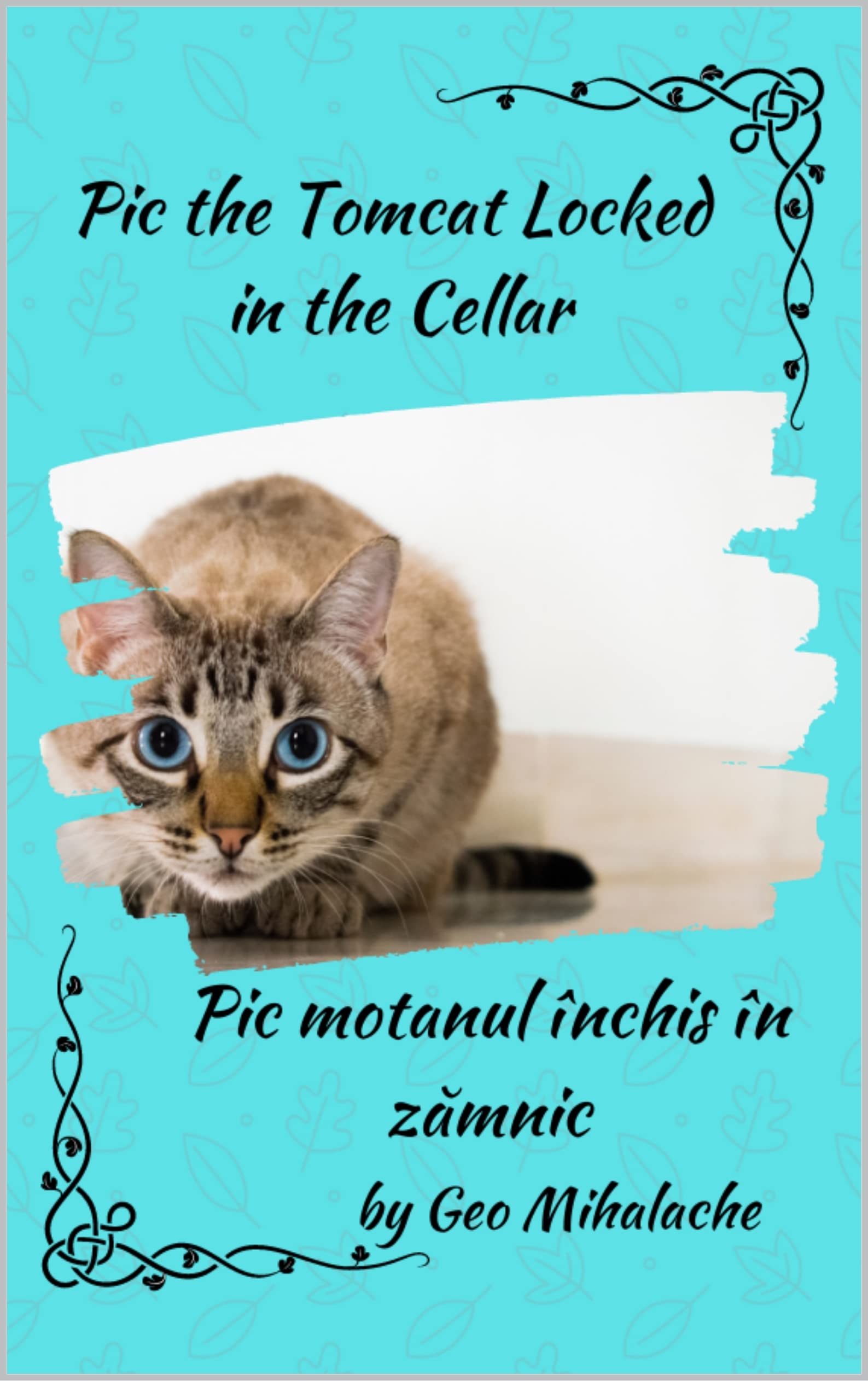 pic-the-tomcat-locked-in-the-cellar-motanul-pic-nchis-n-z-mnic