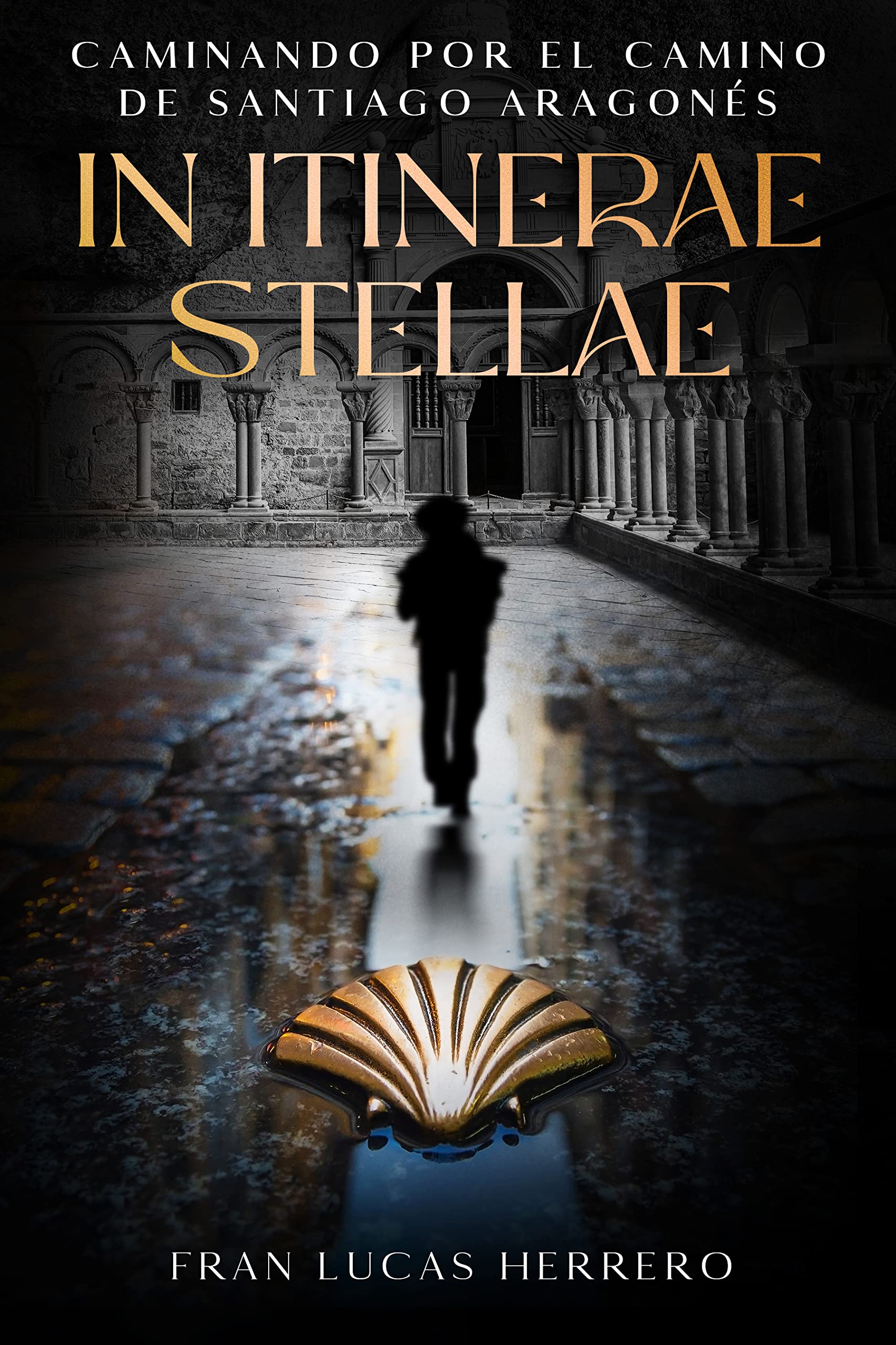 In Itinerae Stellae: Caminando por el Camino de Santiago Aragonés