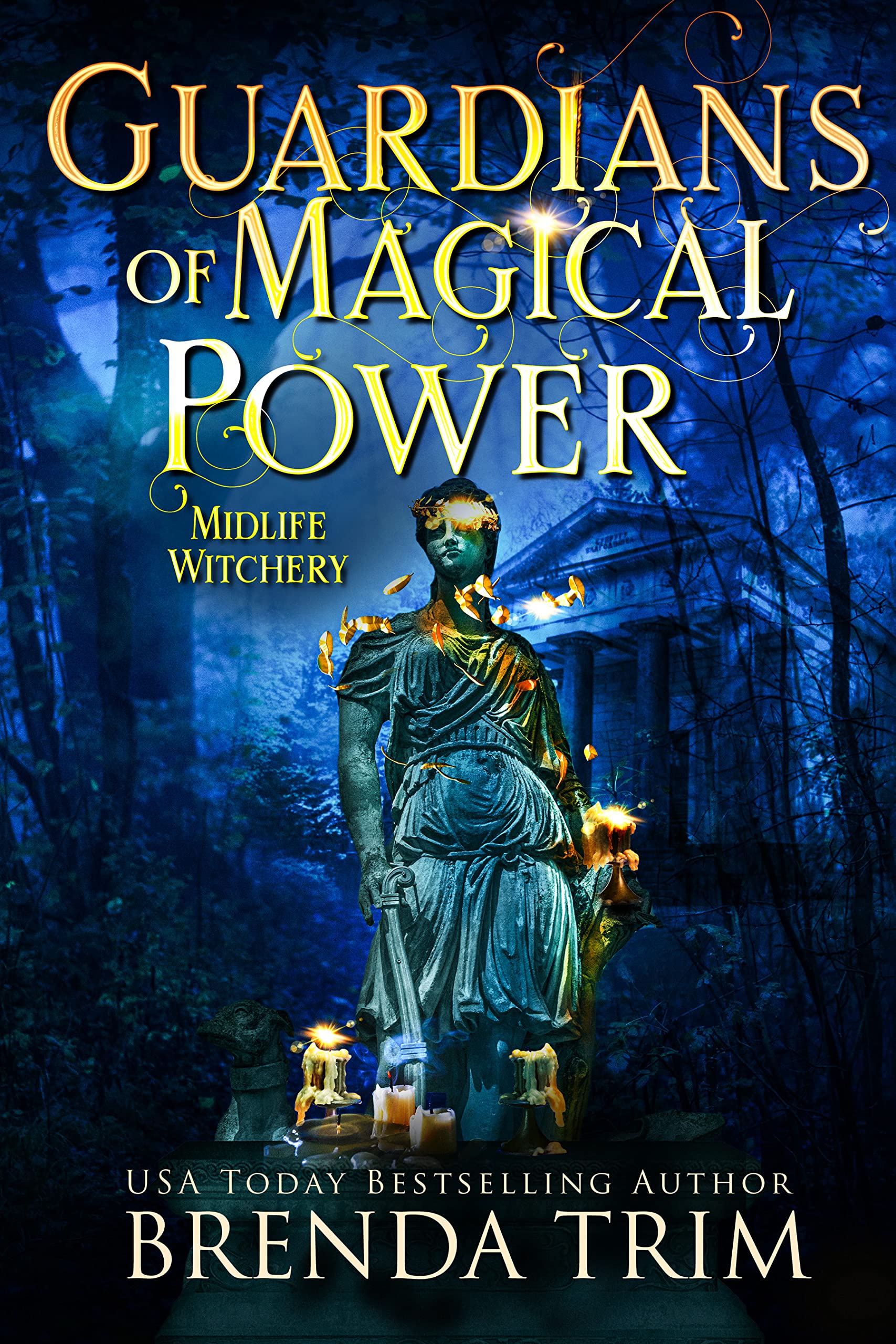 Guardians of Magical Power (Midlife Witchery, #14) book cover