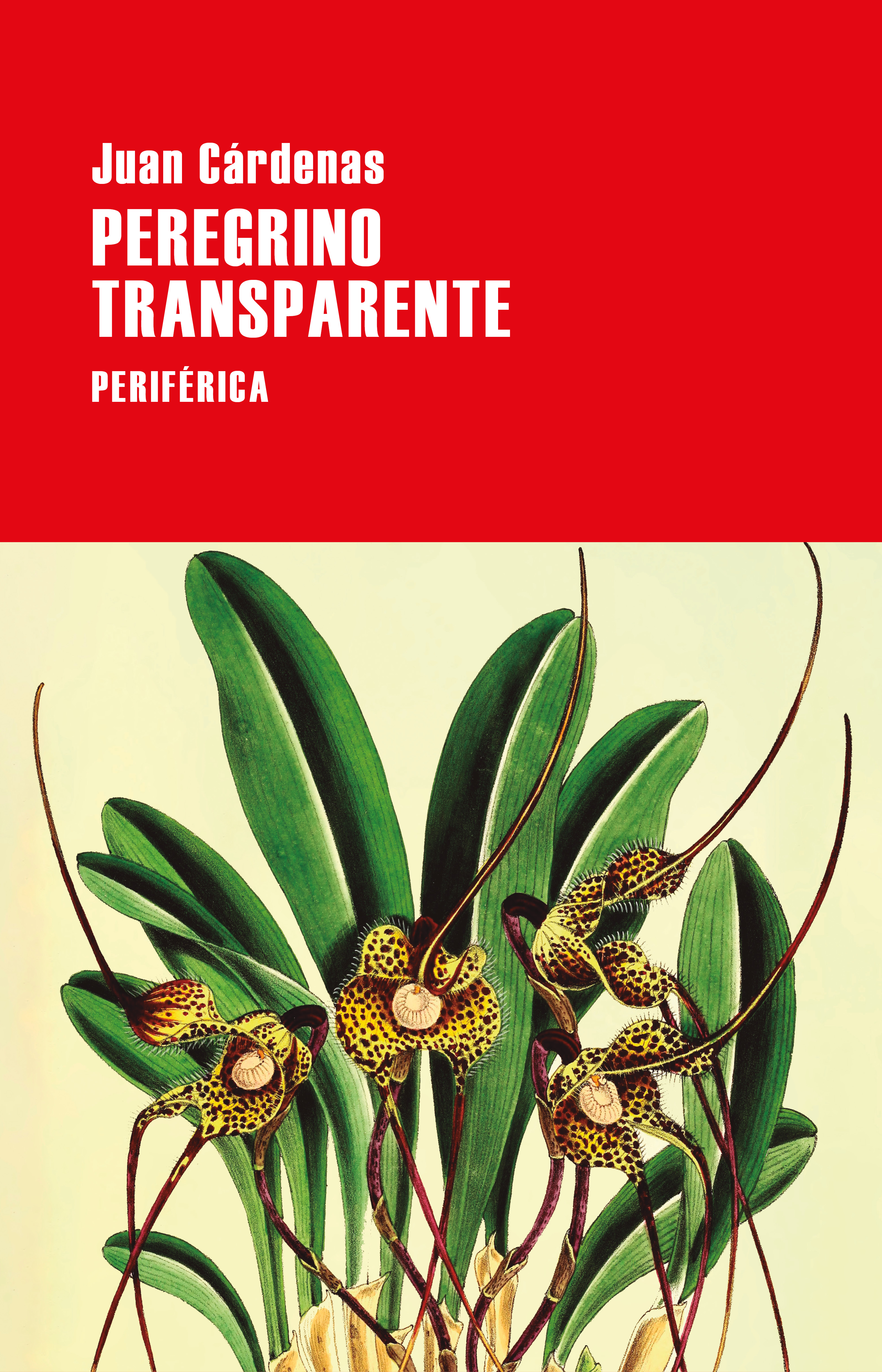 Peregrino transparente book cover