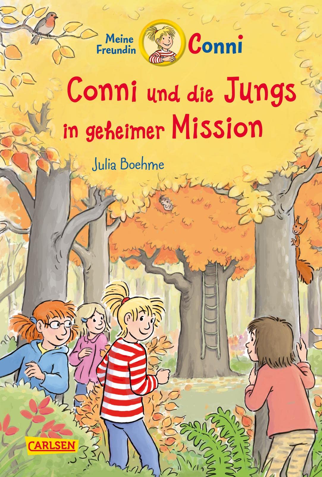 Conni und die Jungs in geheimer Mission book cover