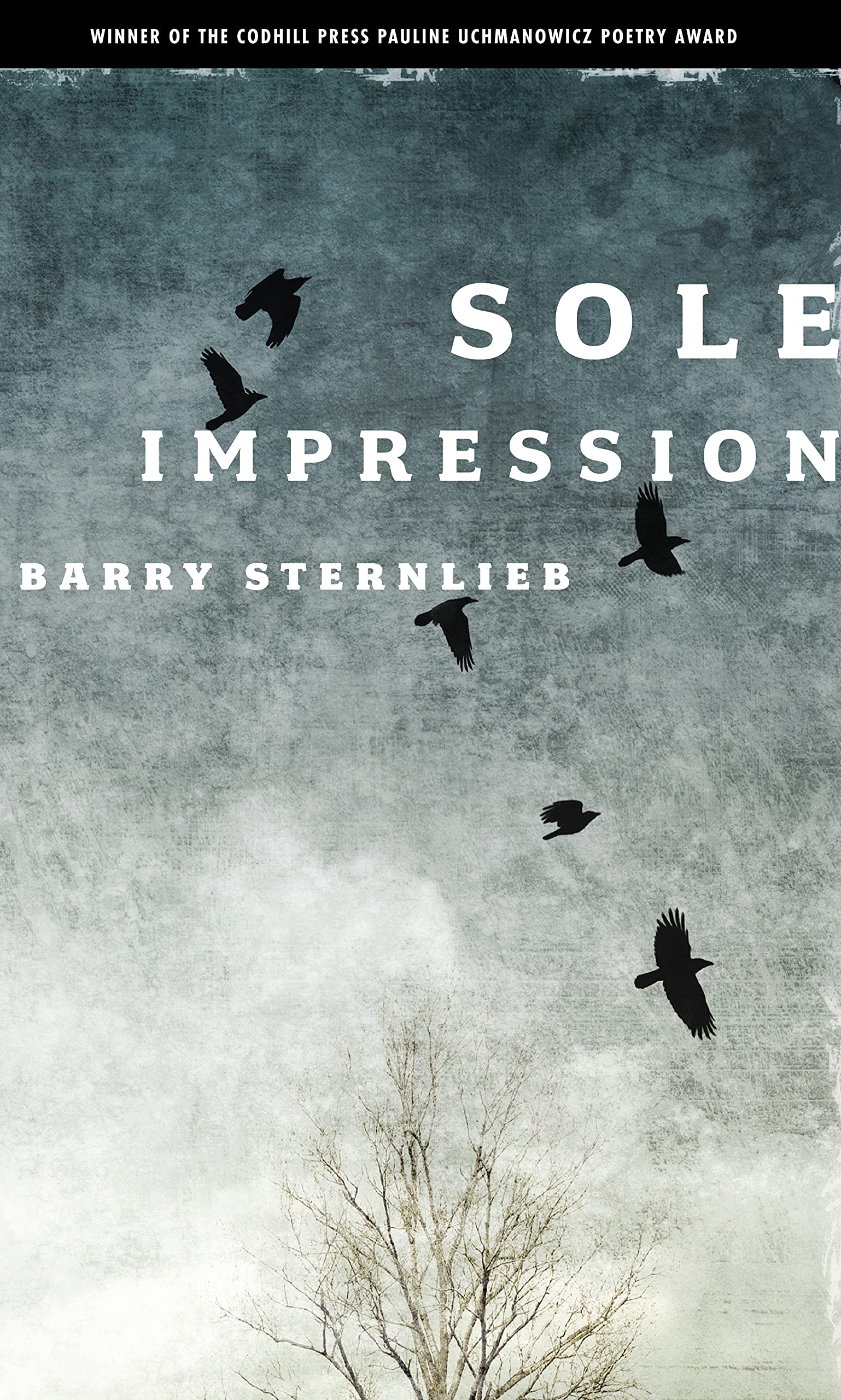 Sole Impression (Codhill Press) by Barry Sternlieb Goodreads
