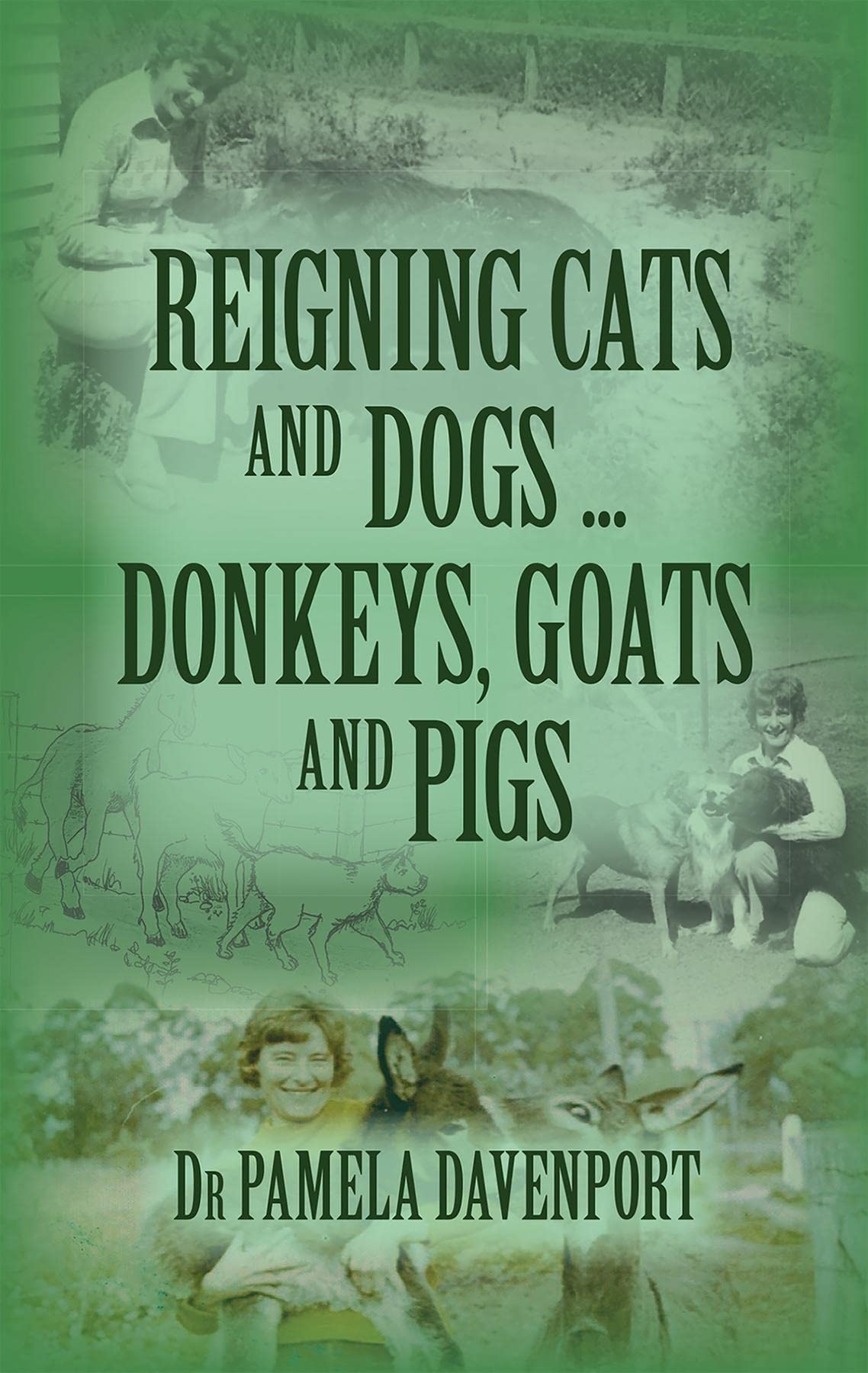 Reigning Cats and Dogs ... Donkeys, Goats and Pigs by Pamela Davenport ...