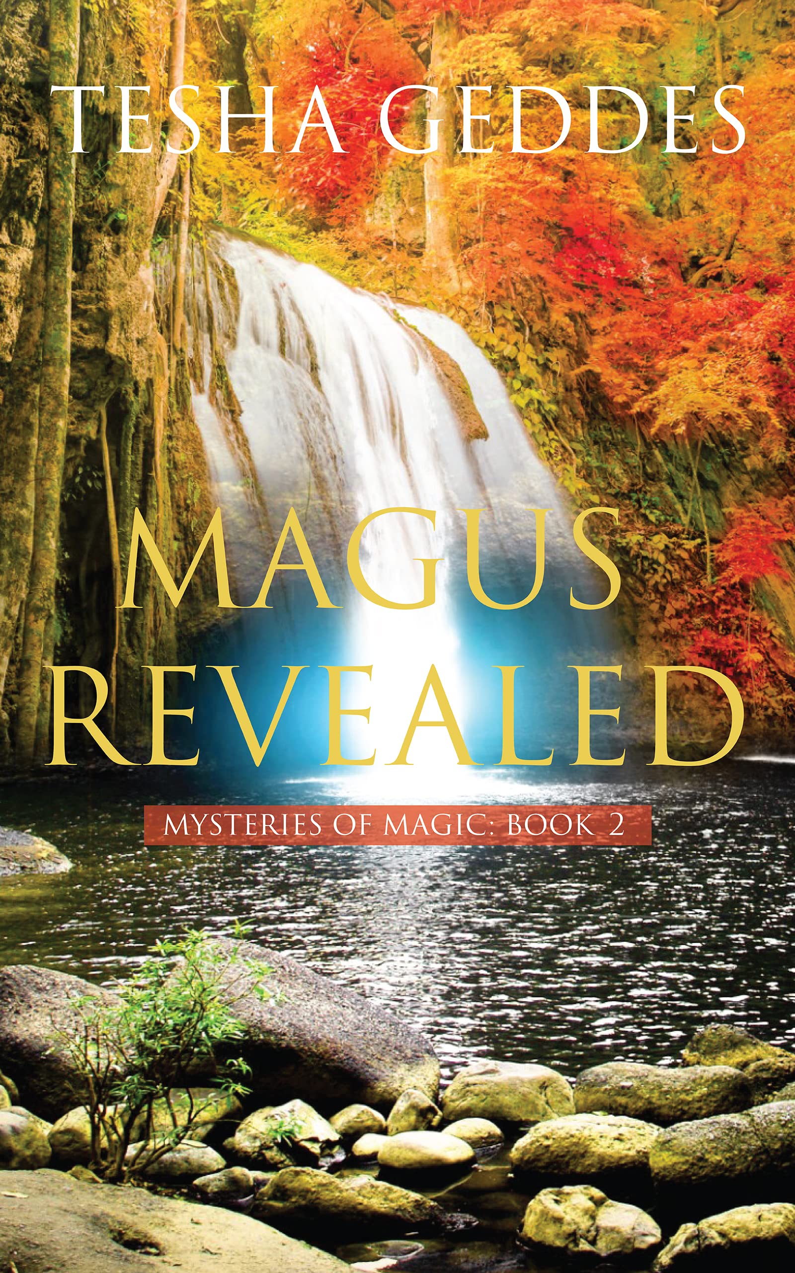 Magus Revealed: Mysteries of Magic: Book 2