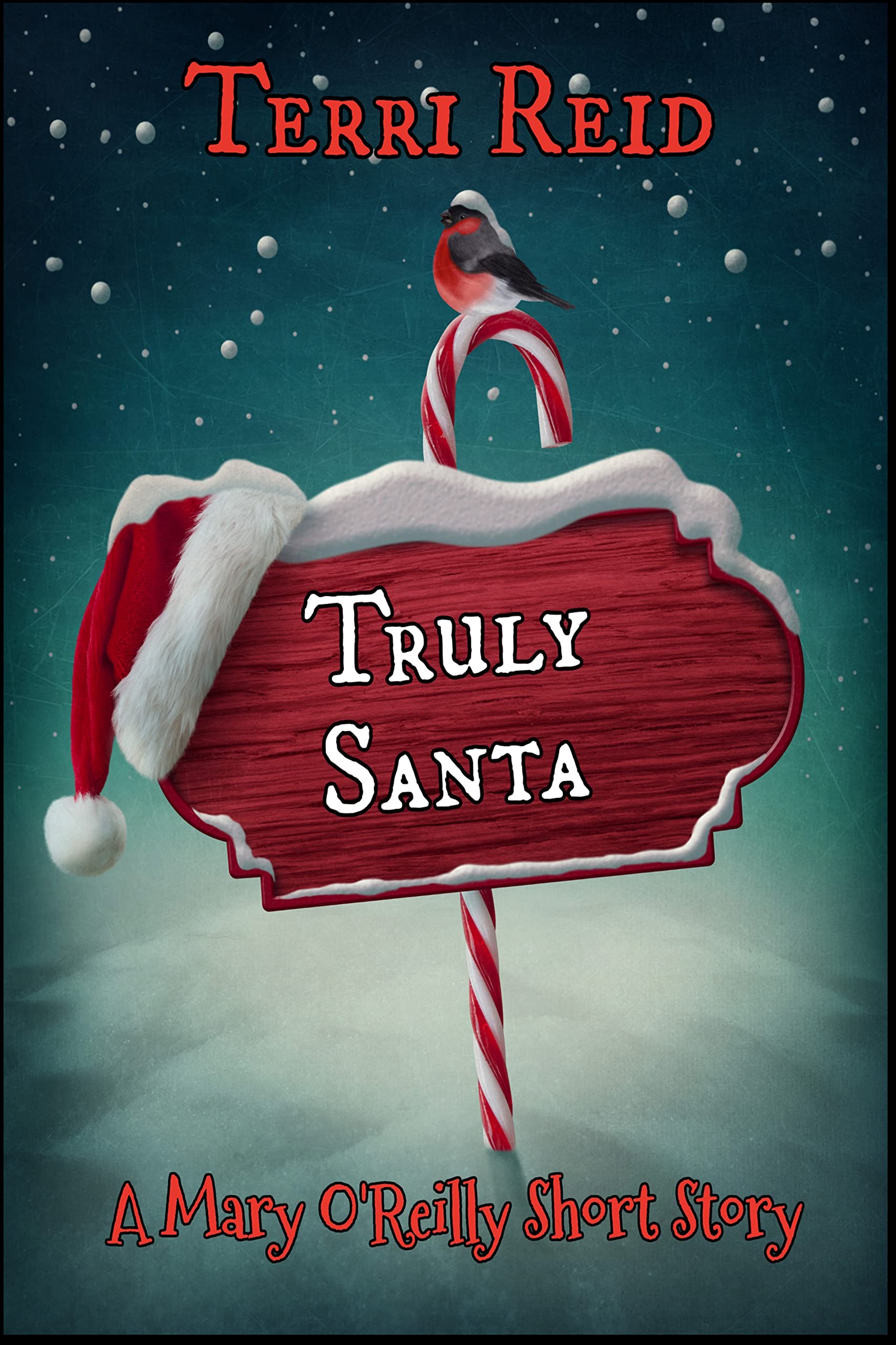 Truly Santa book cover