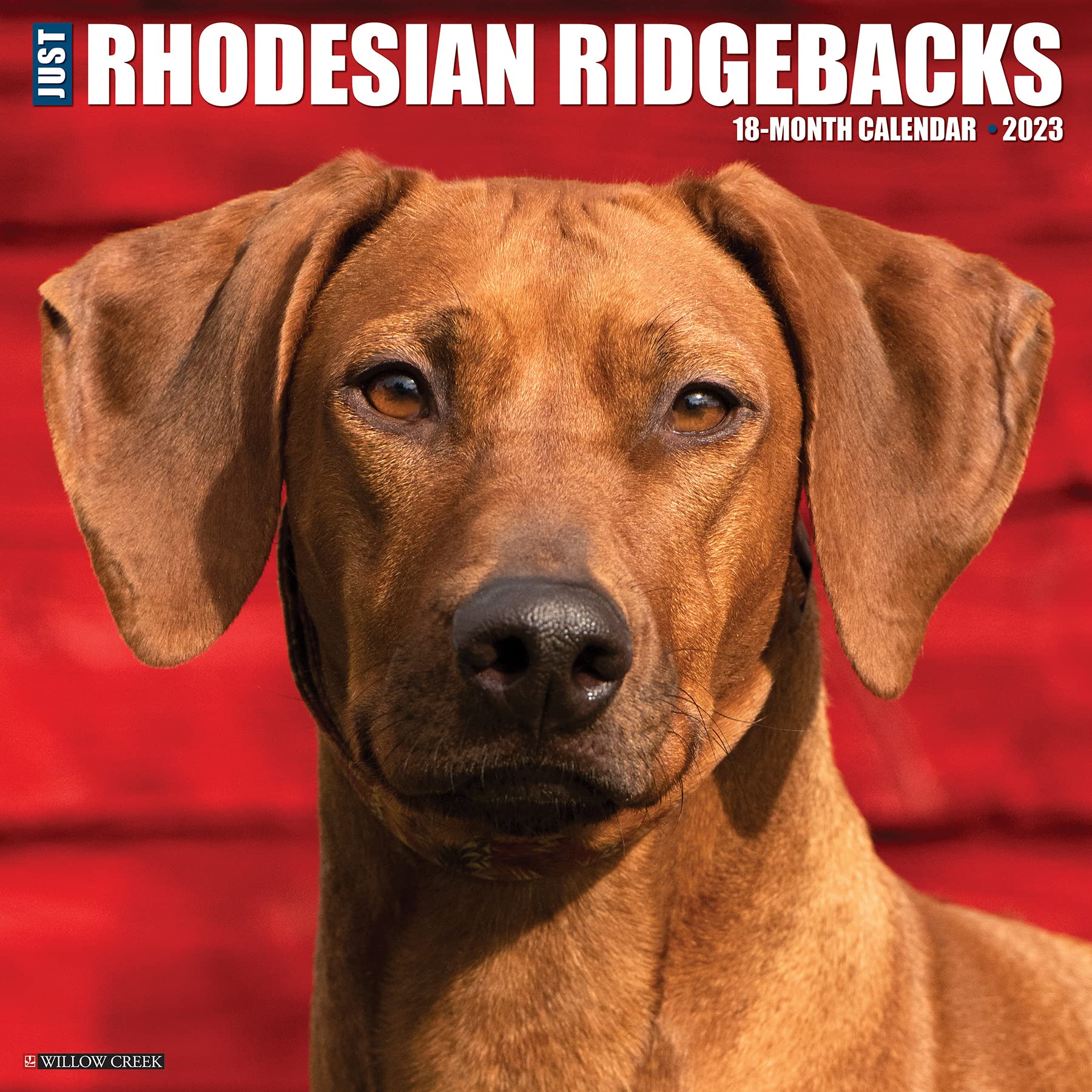 Just Rhodesian Ridgebacks 2023 Wall Calendar by Willow Creek Press