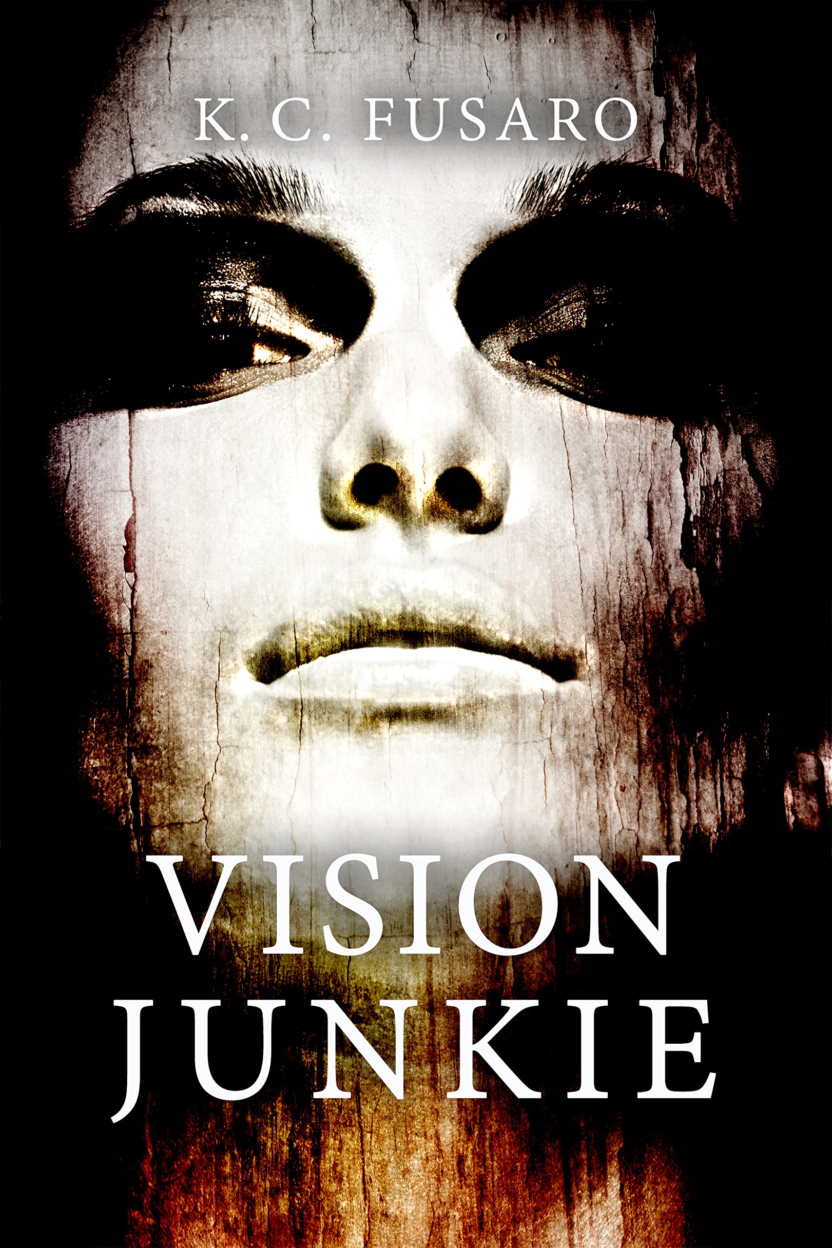Vision Junkie by Kerry Fusaro Goodreads