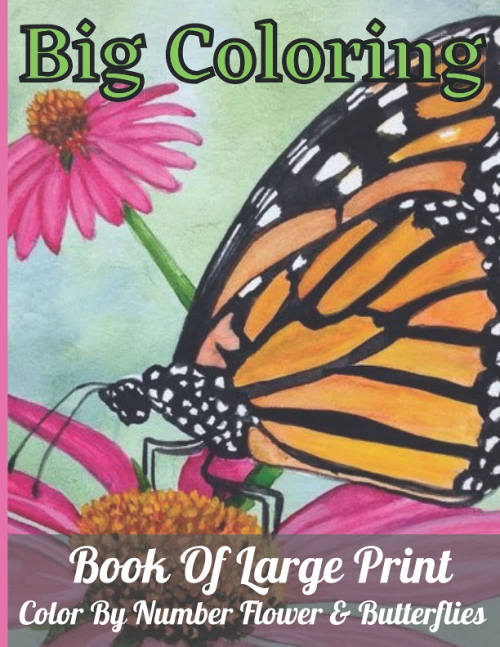 Big Coloring Book Of Large Print Color By Number Flower & Butterflies