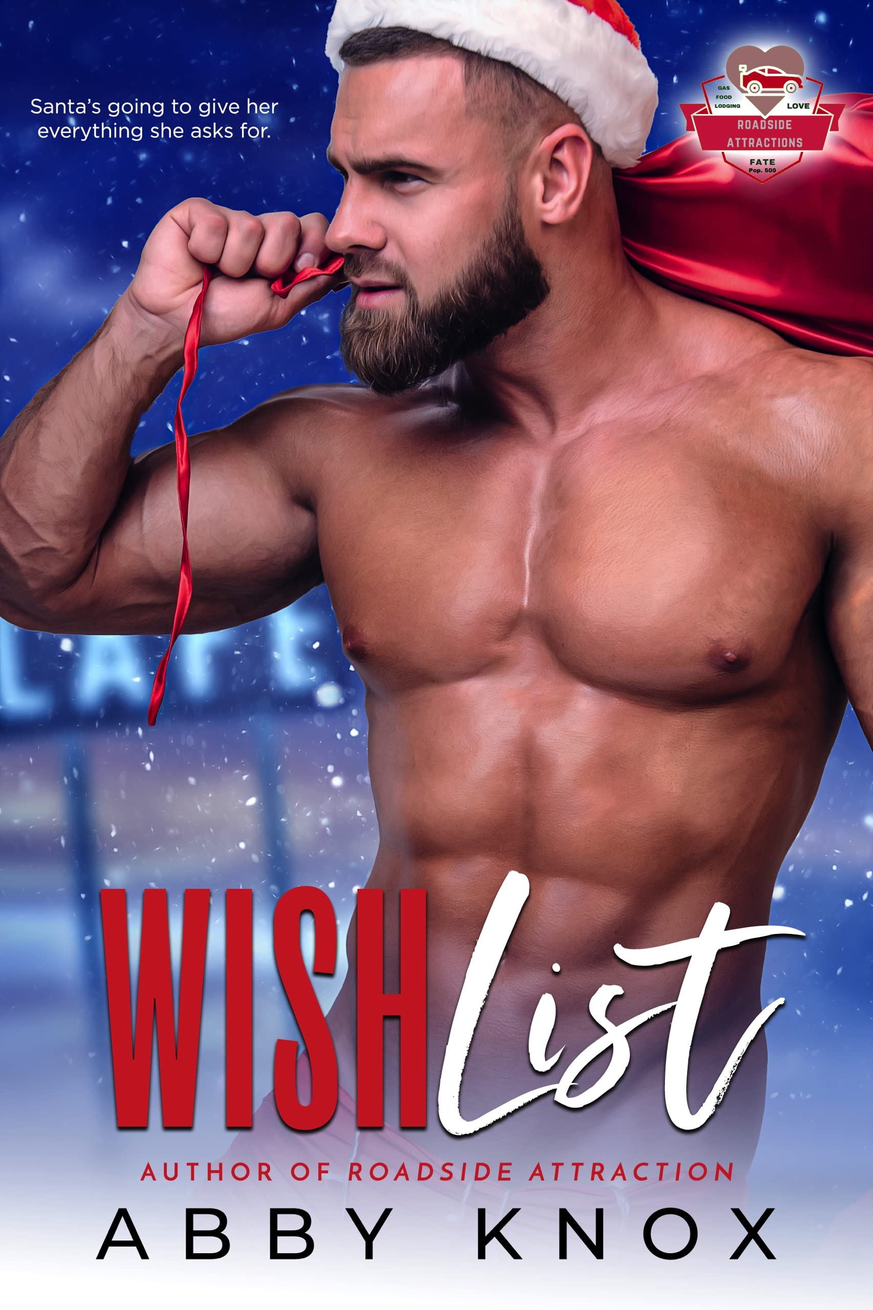Wish List book cover