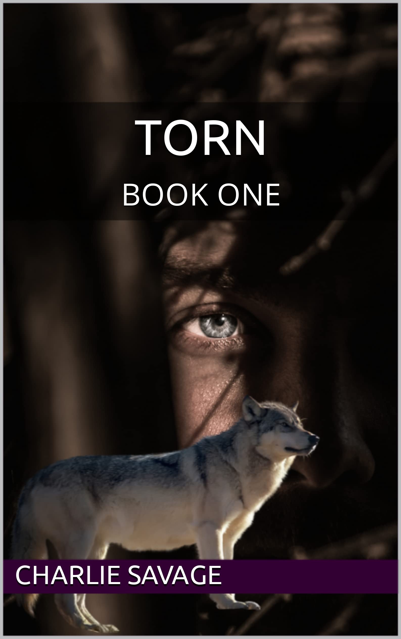 TORN BOOK ONE THE TORN TRILOGY 1 By Charlie Savage Goodreads torn-book-one-the-torn-trilogy-1-by-charlie-savage-goodreads
