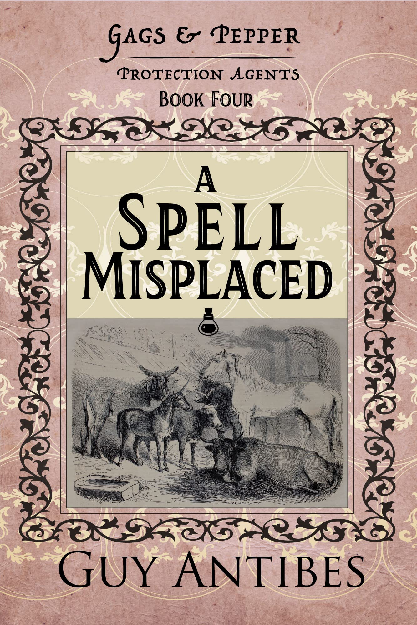 A Spell Misplaced book cover