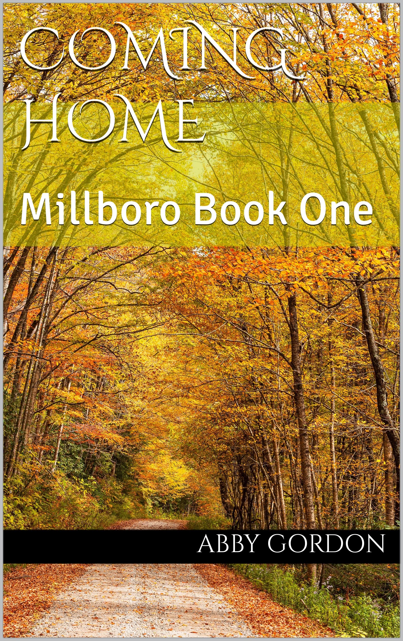 Coming Home: Millboro Book One