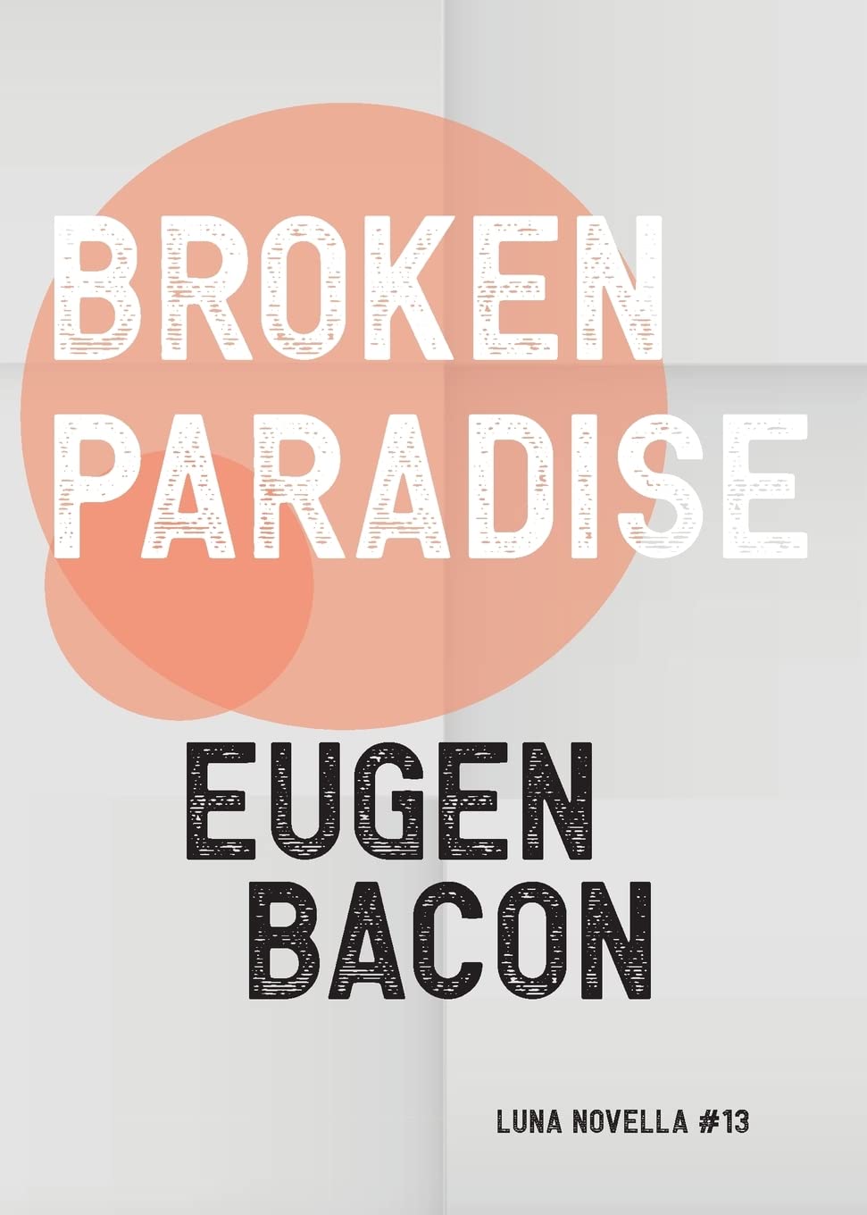 Broken Paradise book cover