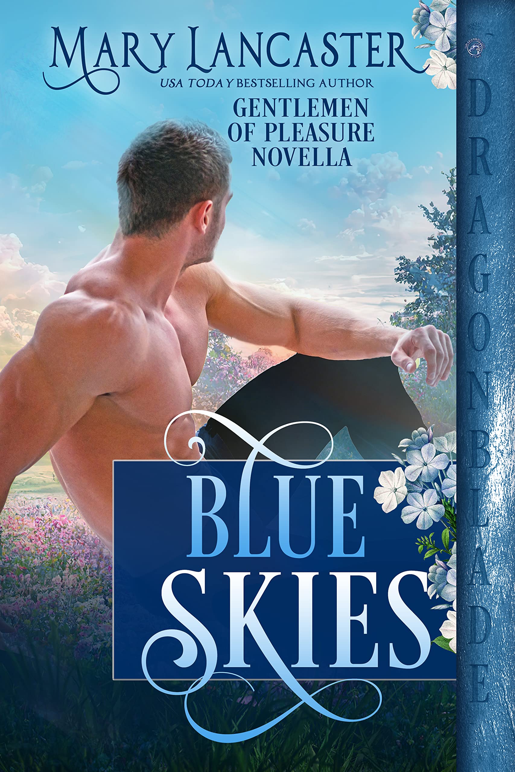 Blue Skies book cover