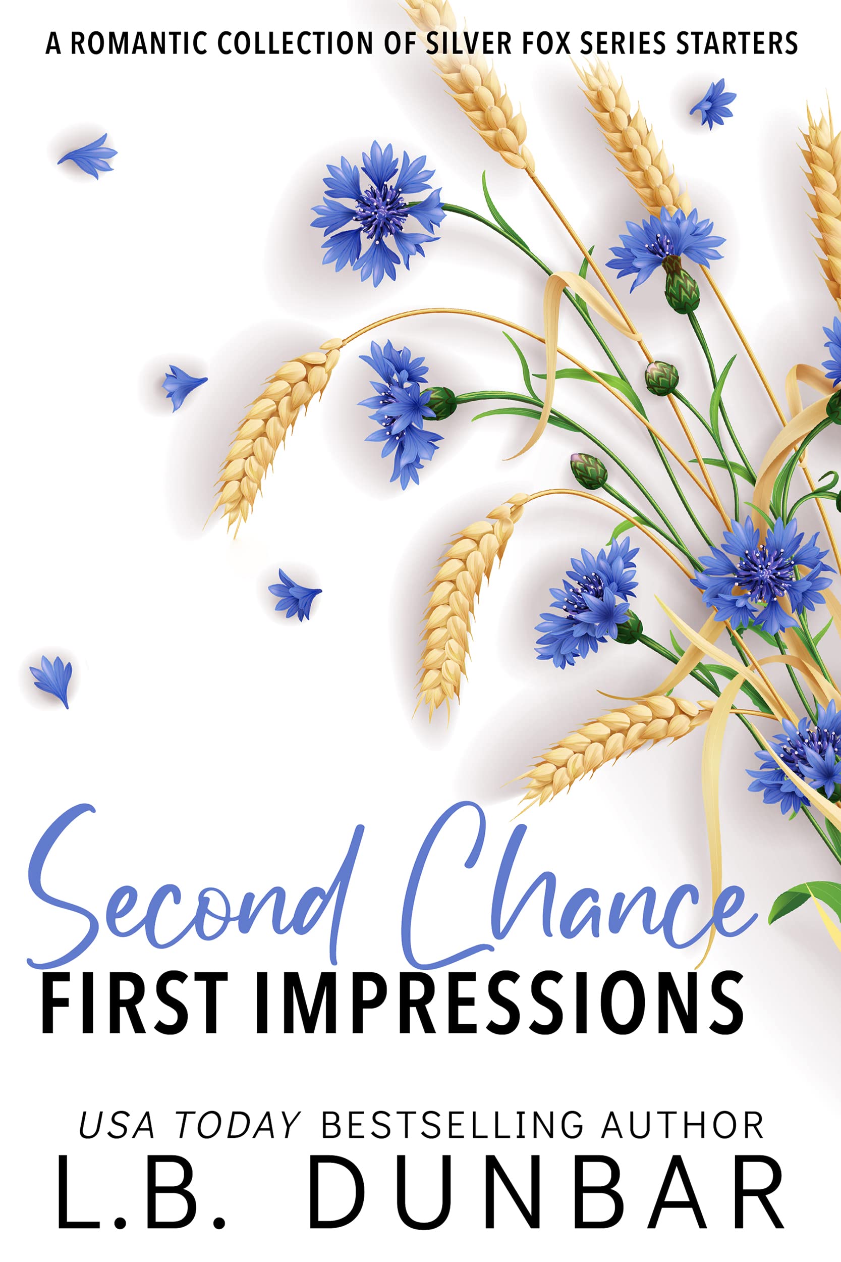 Second Chance First Impressions A Collection Of Series Starters By L B