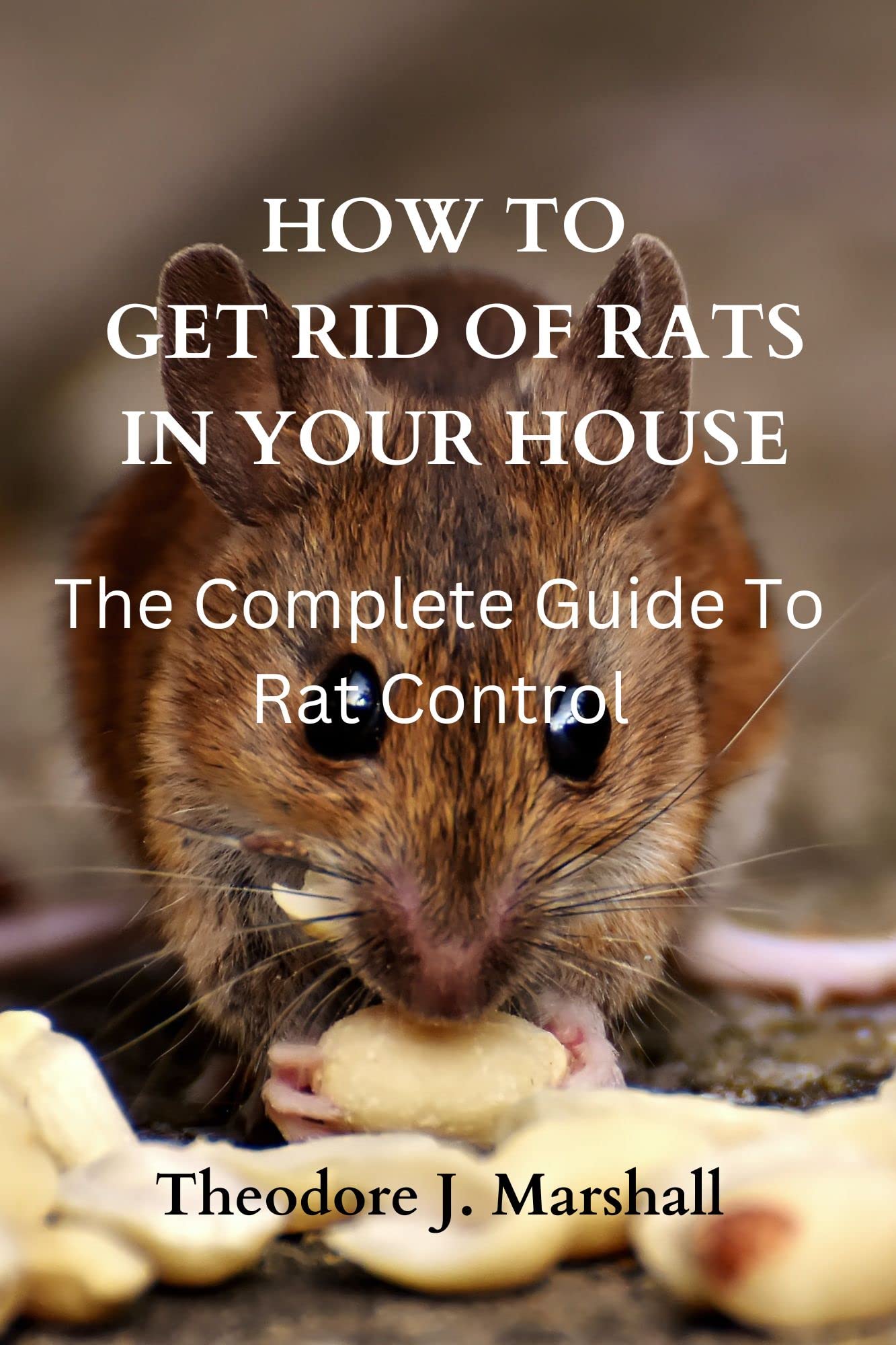 How To Get Rid Of Rats In Your House The Complete Guide To Rat Control