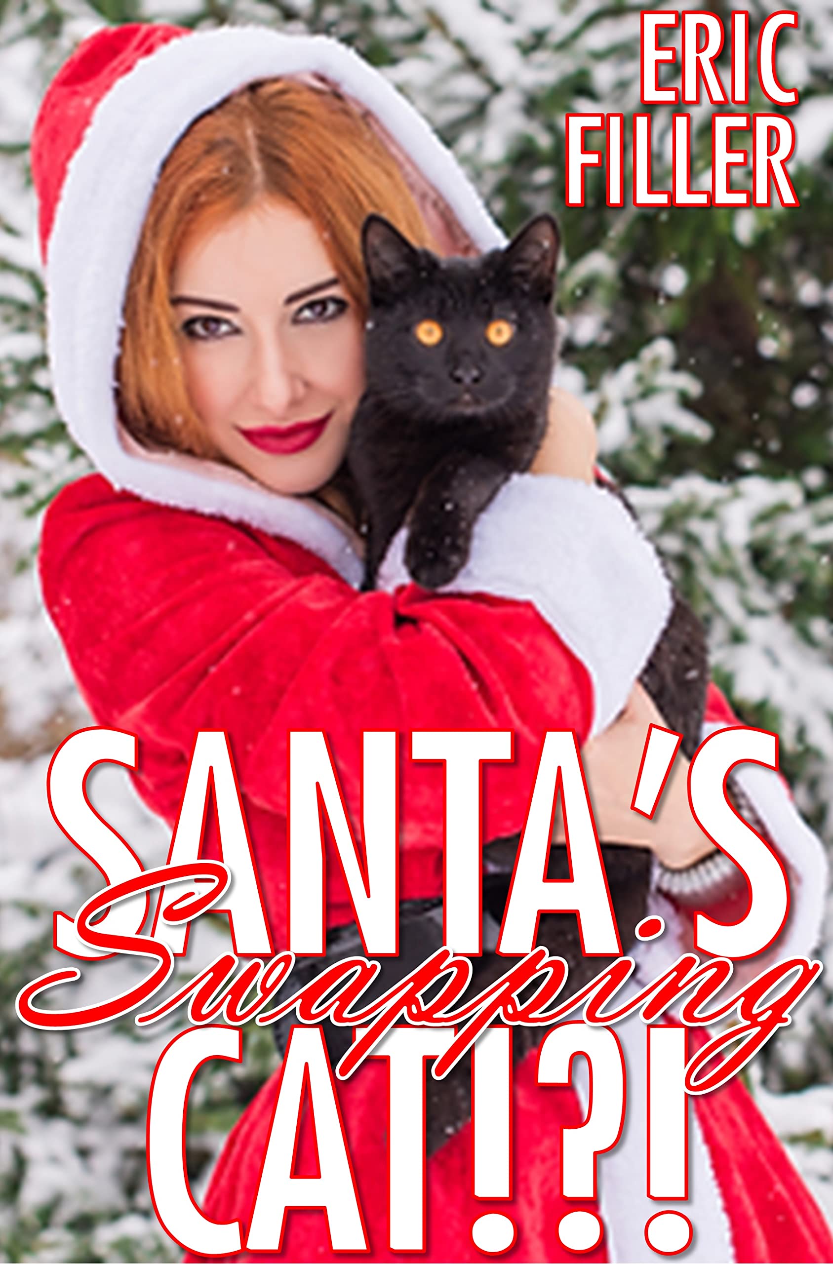 Santa's Swapping Cat!?!