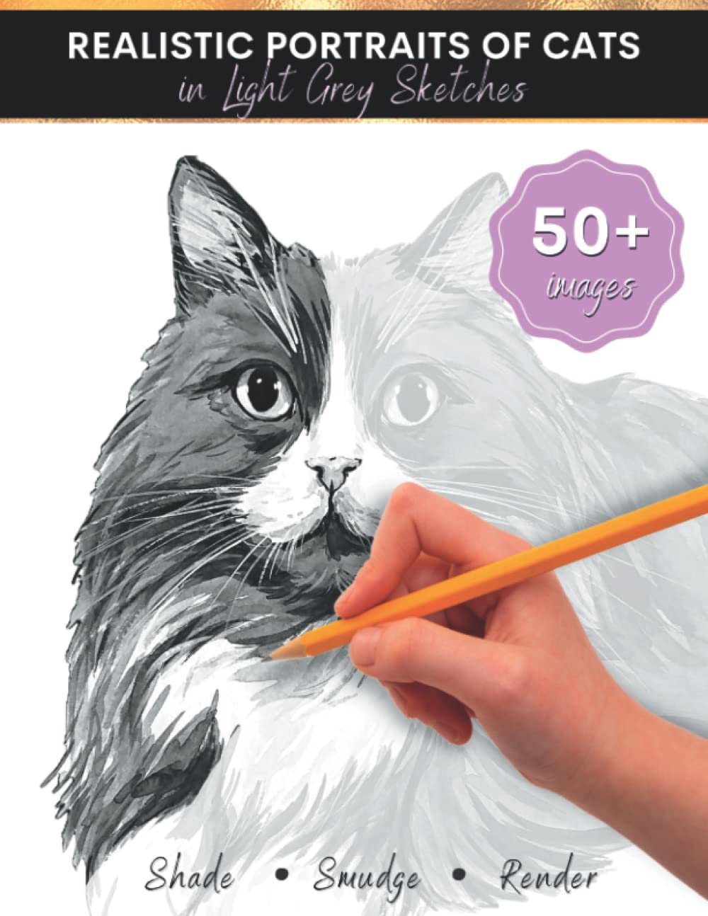 Cats Drawing Book for Kids and Teens Realistic Cats & Kittens in Light Grey Sketches by DC Arts