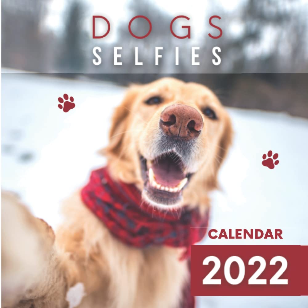 Dogs Selfies Calendar 2022 Funny puppy pooches in awkward positions