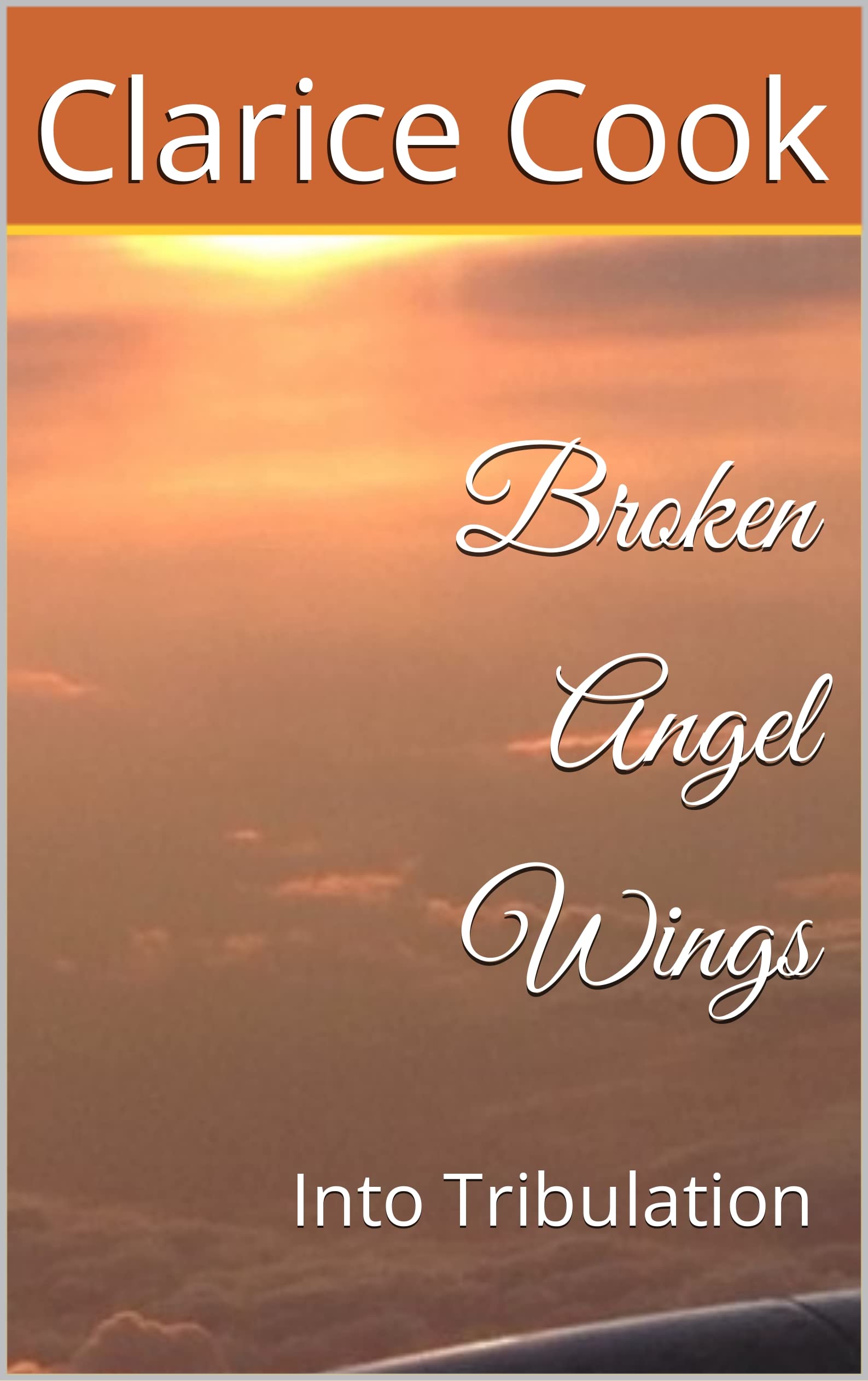 Broken Angel Wings Into Tribulation by Clarice Cook Goodreads