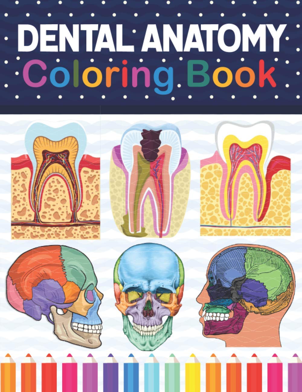 Dental Anatomy Coloring Book: Fun and Easy Dental, Teeth Anatomy