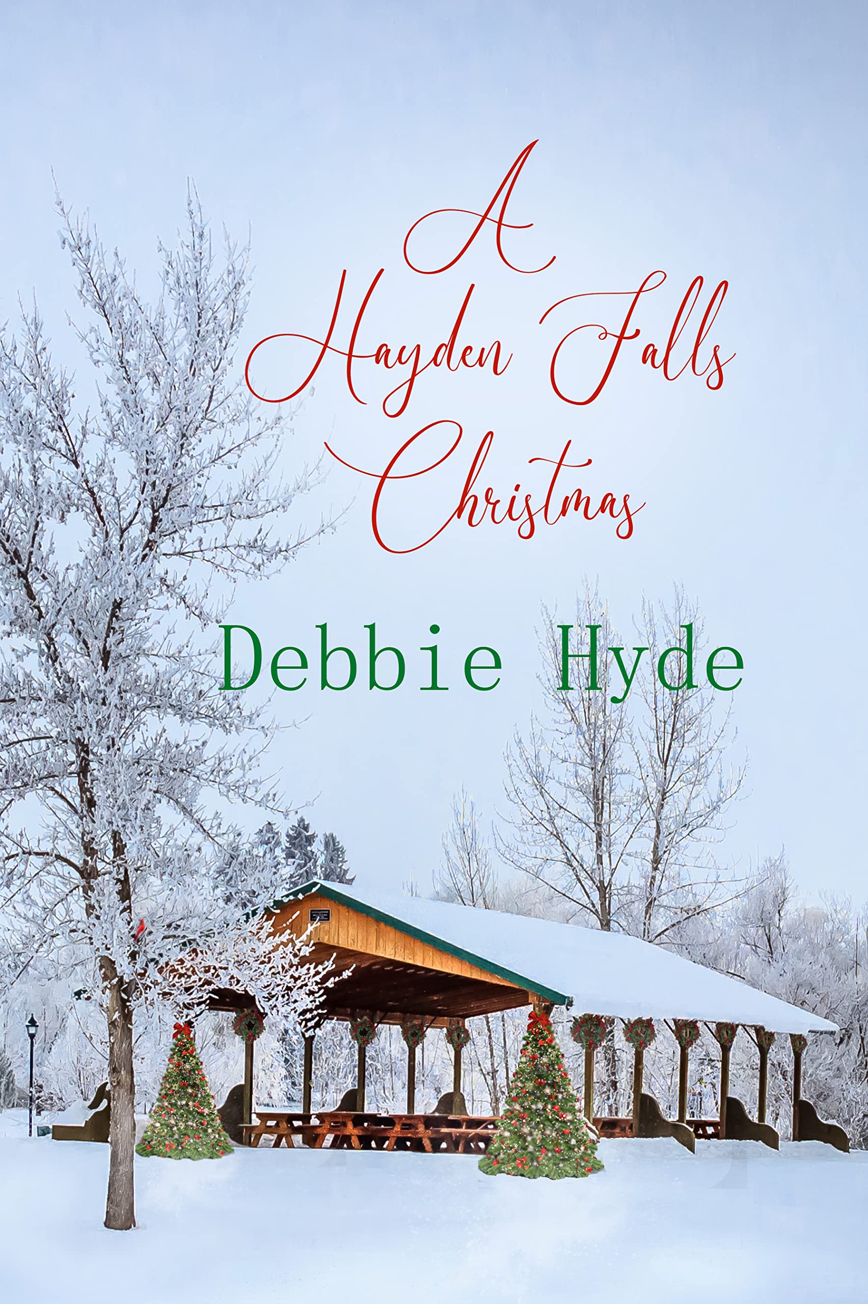 A Hayden Falls Christmas