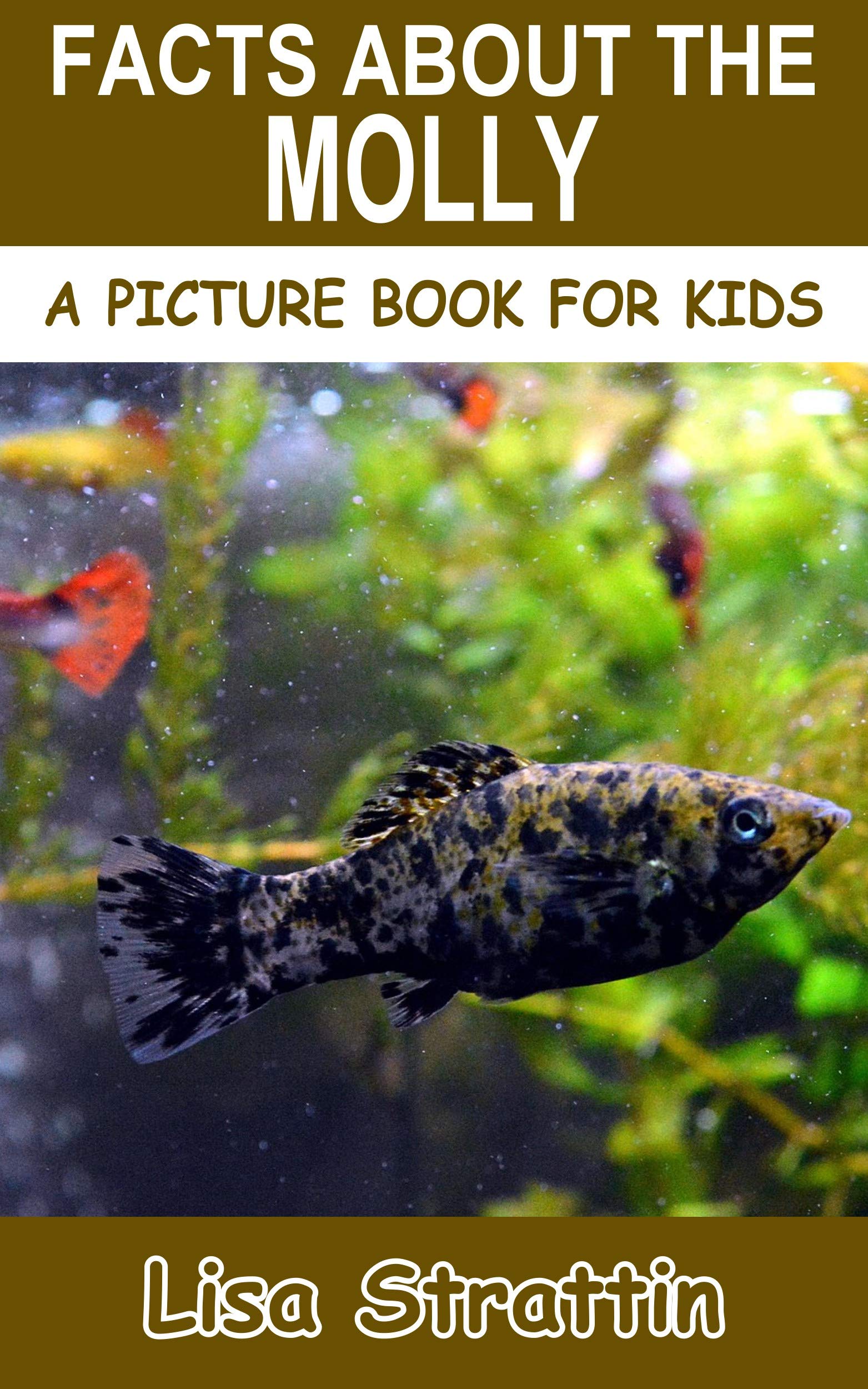 Facts About the Molly (A Picture Book For Kids 276) by Lisa Strattin