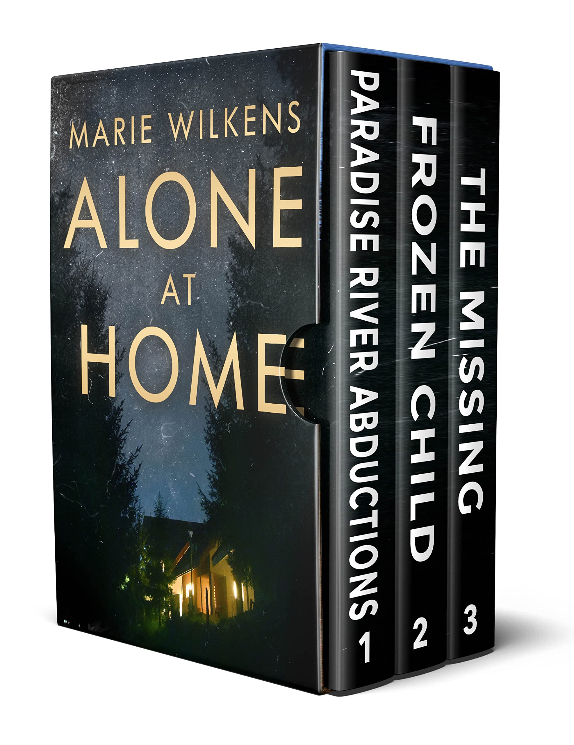 Alone at Home book cover
