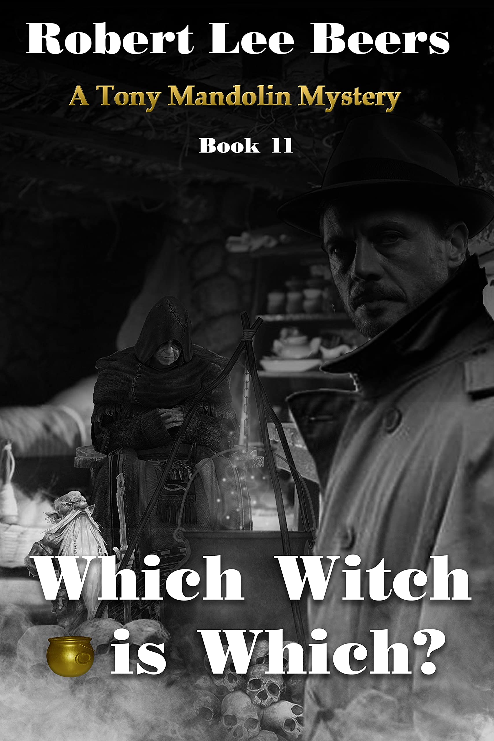 Which Witch is Which? book cover