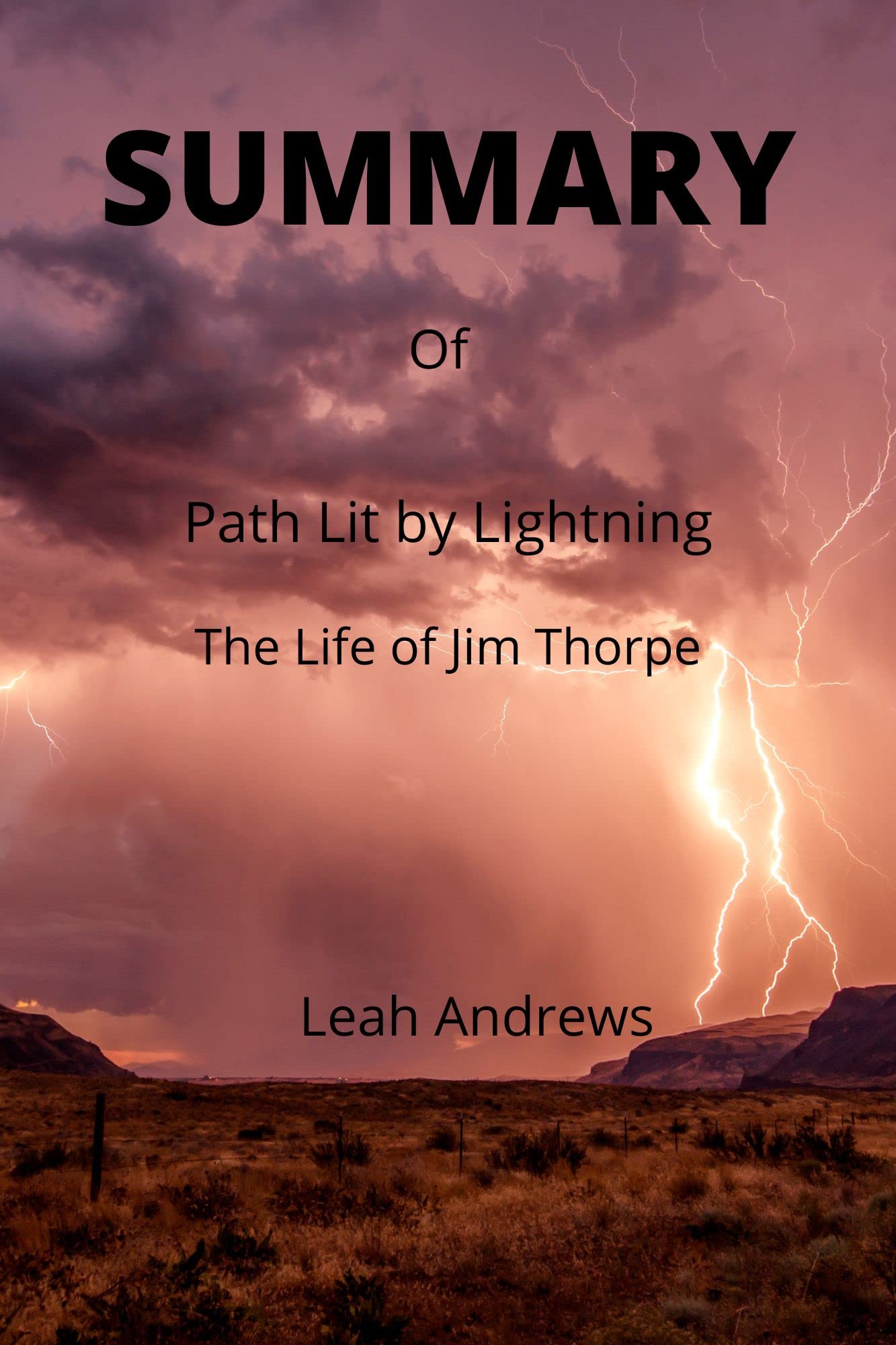 Summary of Path Lit by Lightning The Life of Jim Thorpe by David