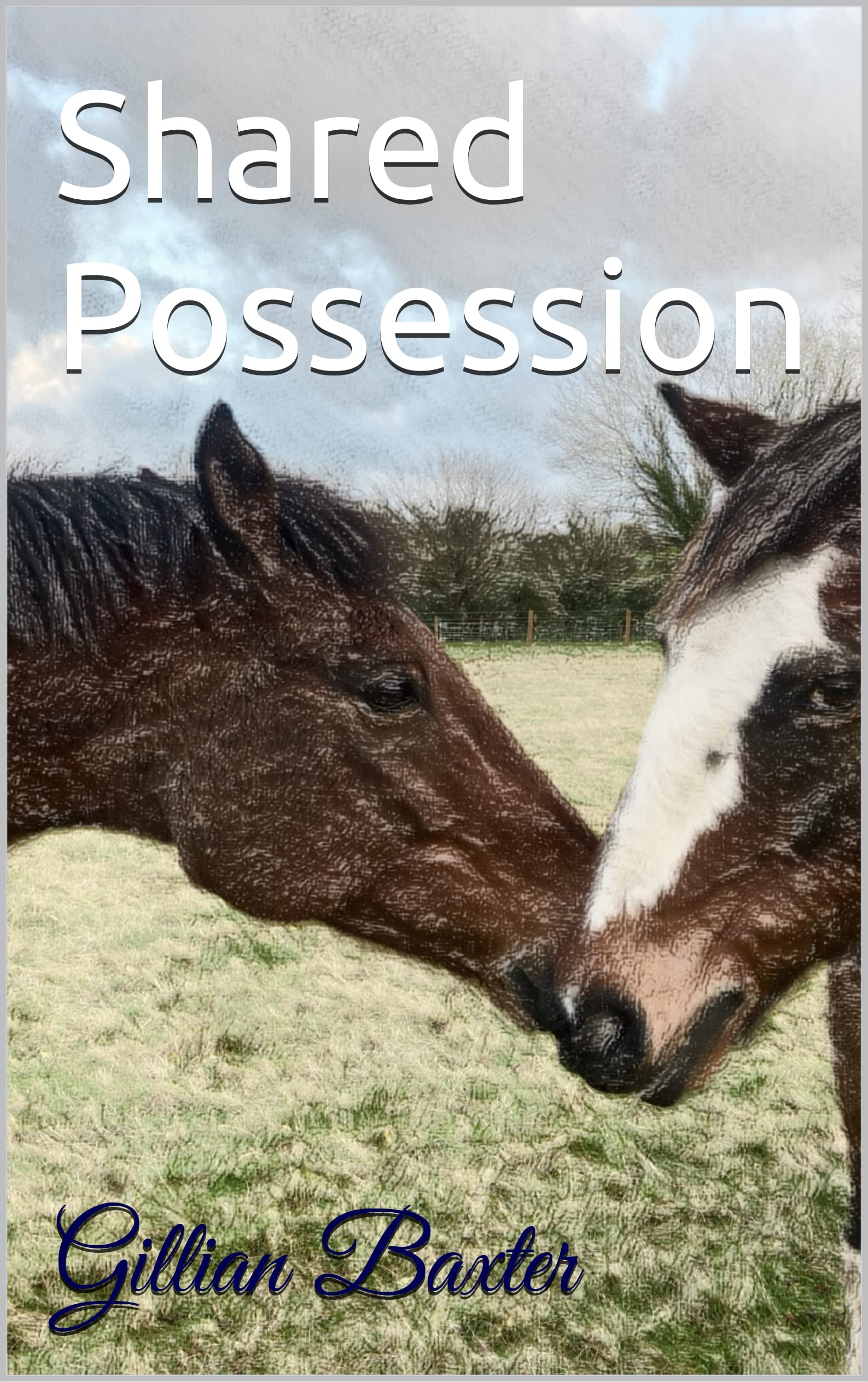 Shared Possession