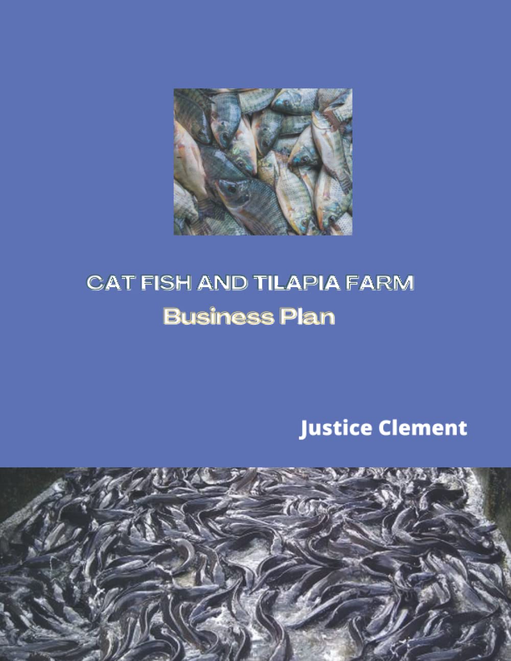 CAT FISH AND TILAPIA FARM BUSINESS PLAN Fish Farm business Plan