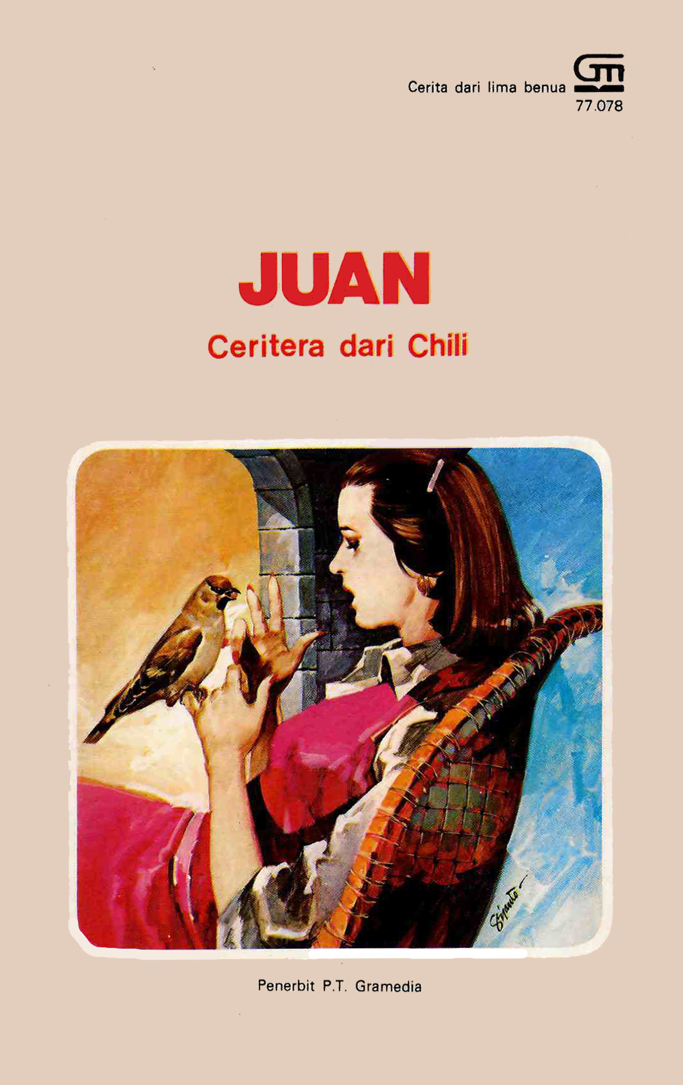 Juan book cover