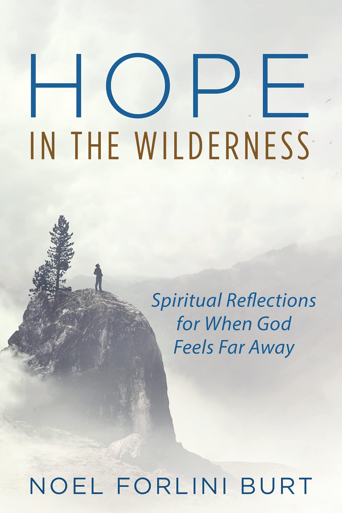 Hope in the Wilderness Spiritual Reflections for When God Feels Far