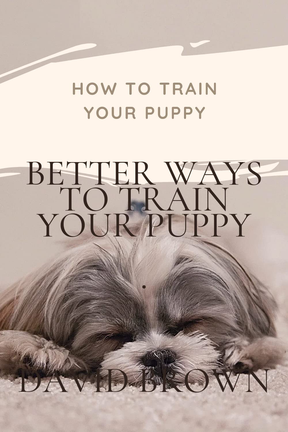 How to train your puppy Better ways to train your puppy by David Brown