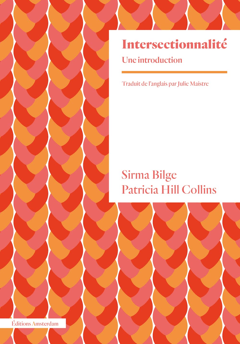 Intersectionnalité book cover