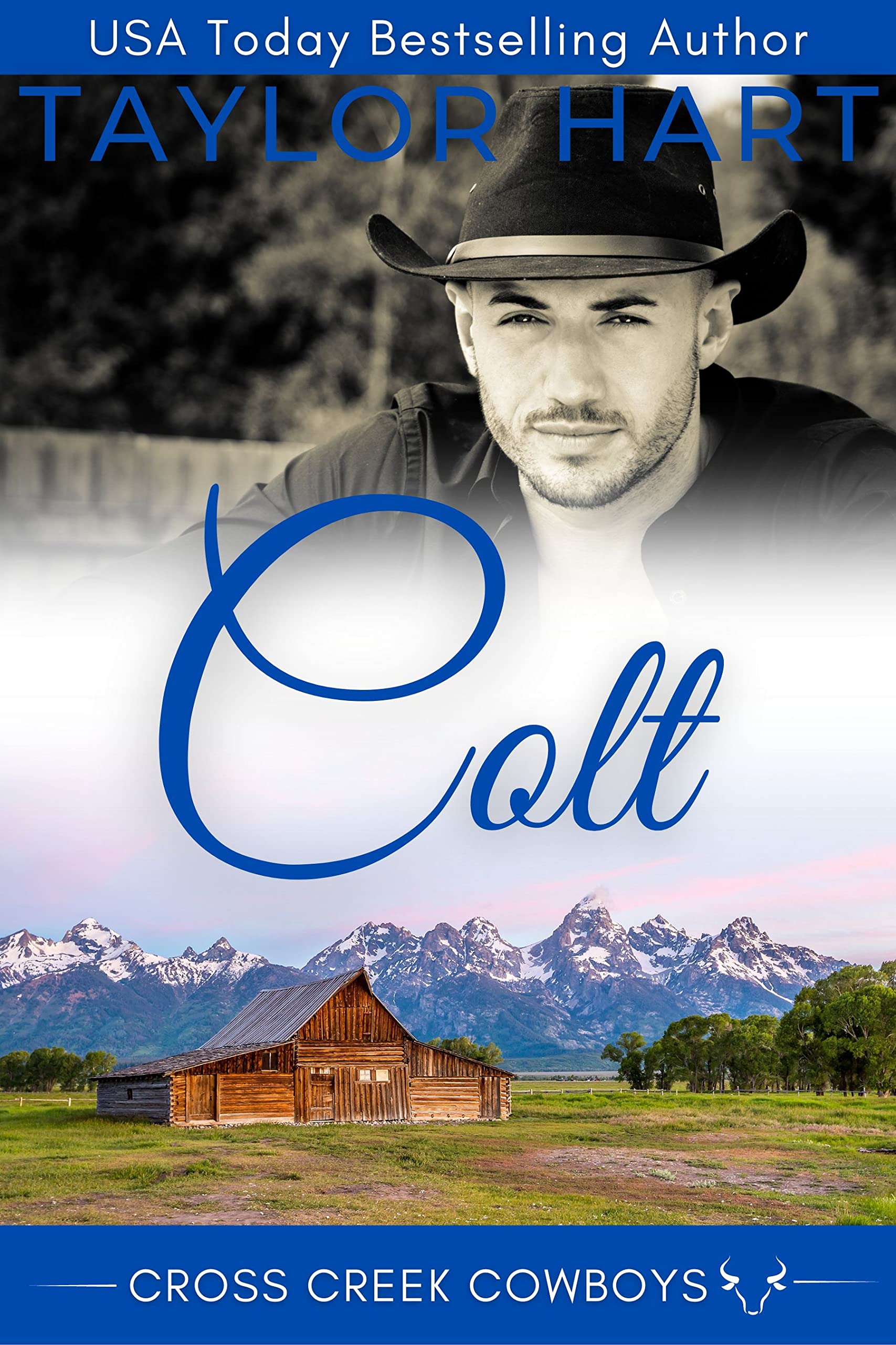 Colt book cover