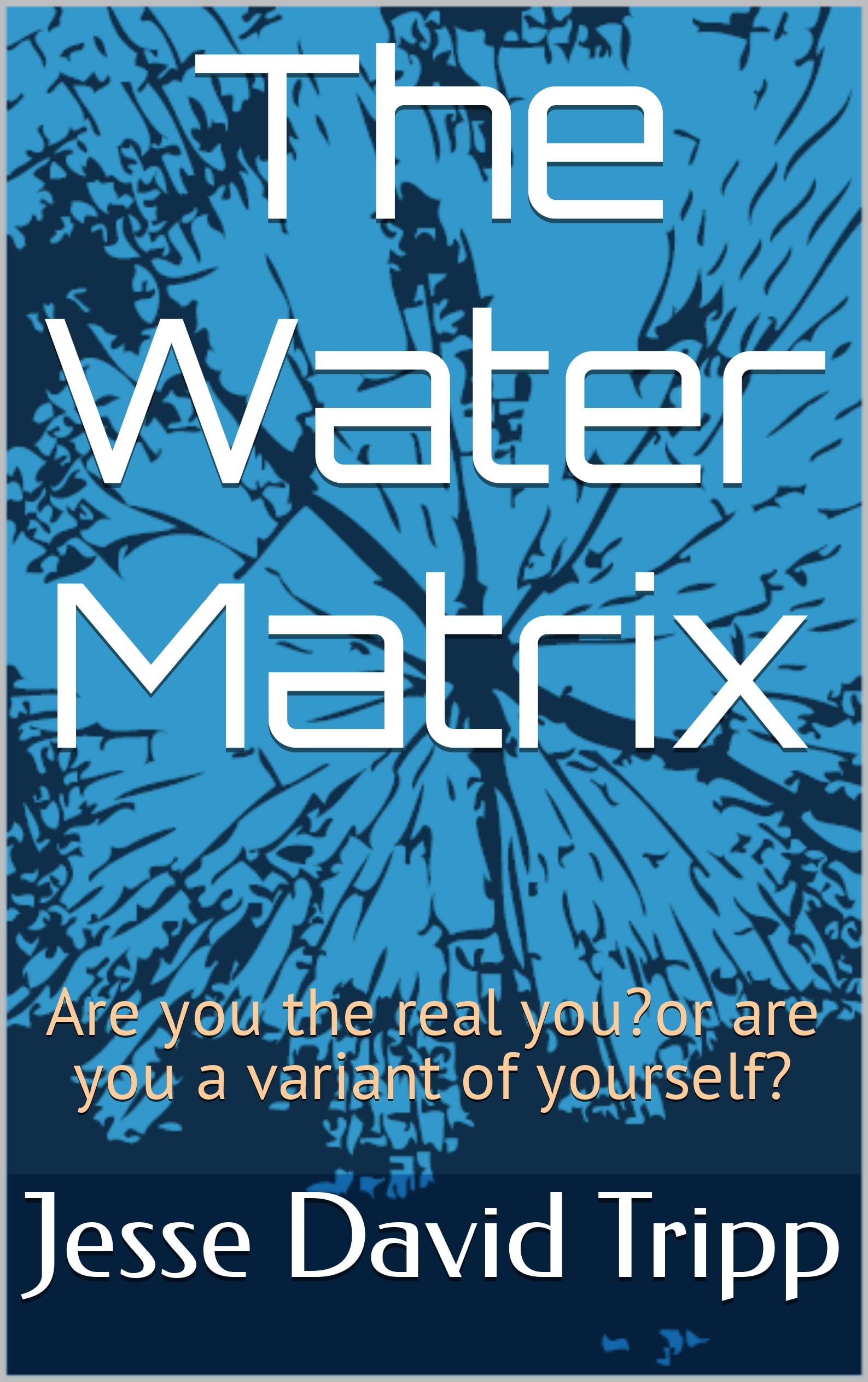 The water matrix are you the real you by jesse tripp Goodreads
