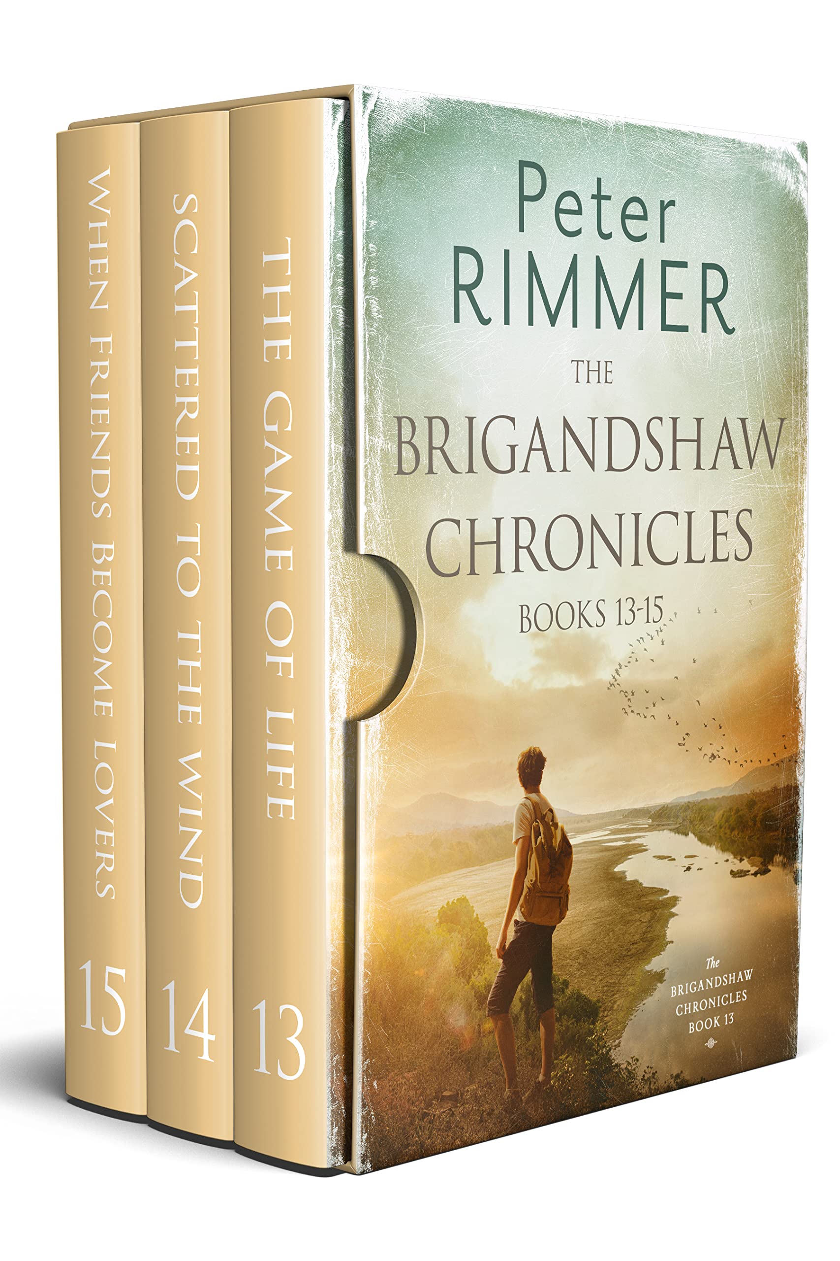 The Brigandshaw Chronicles Box Set: Books 13 to 15: A captivating multigenerational come to life family series