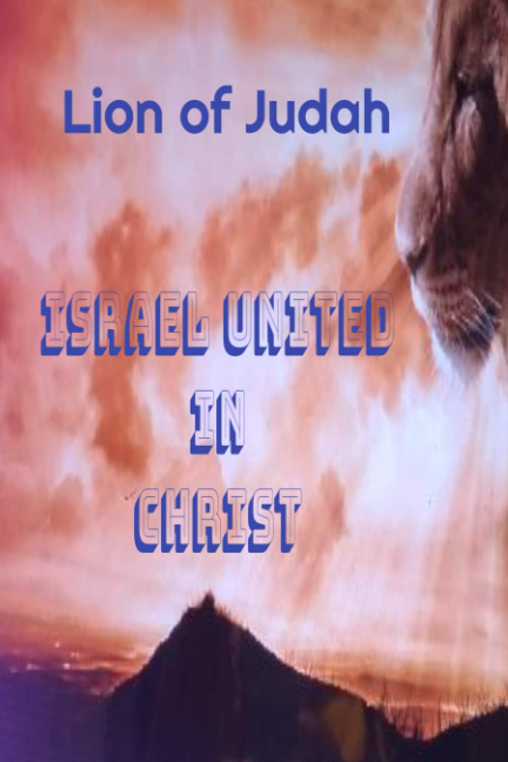 Lion of Judah Notebook Israel United in Christ by Lolita Obie Goodreads