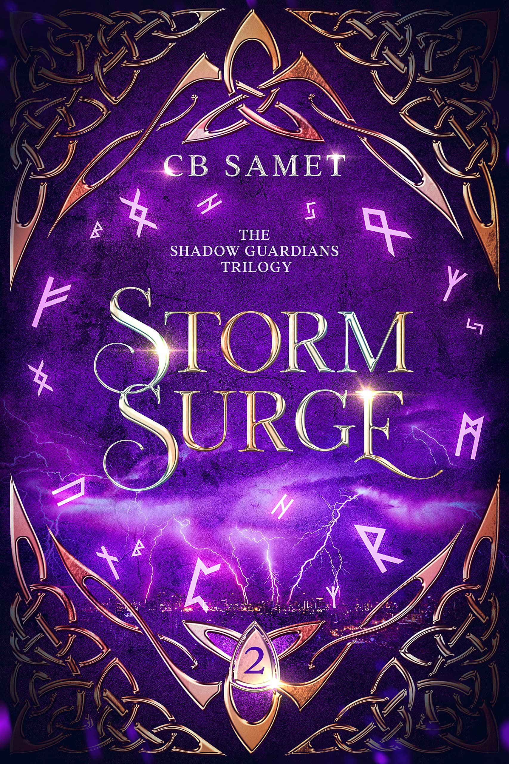Storm Surge book cover
