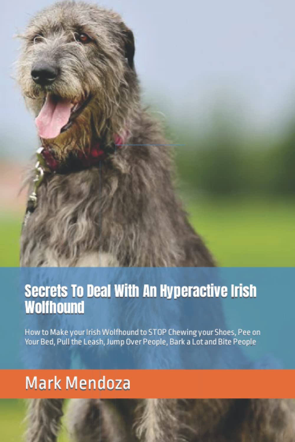 Secrets To Deal With An Hyperactive Irish Wolfhound How to Make your