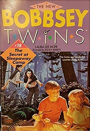 The Secret At Sleepaway Camp book cover