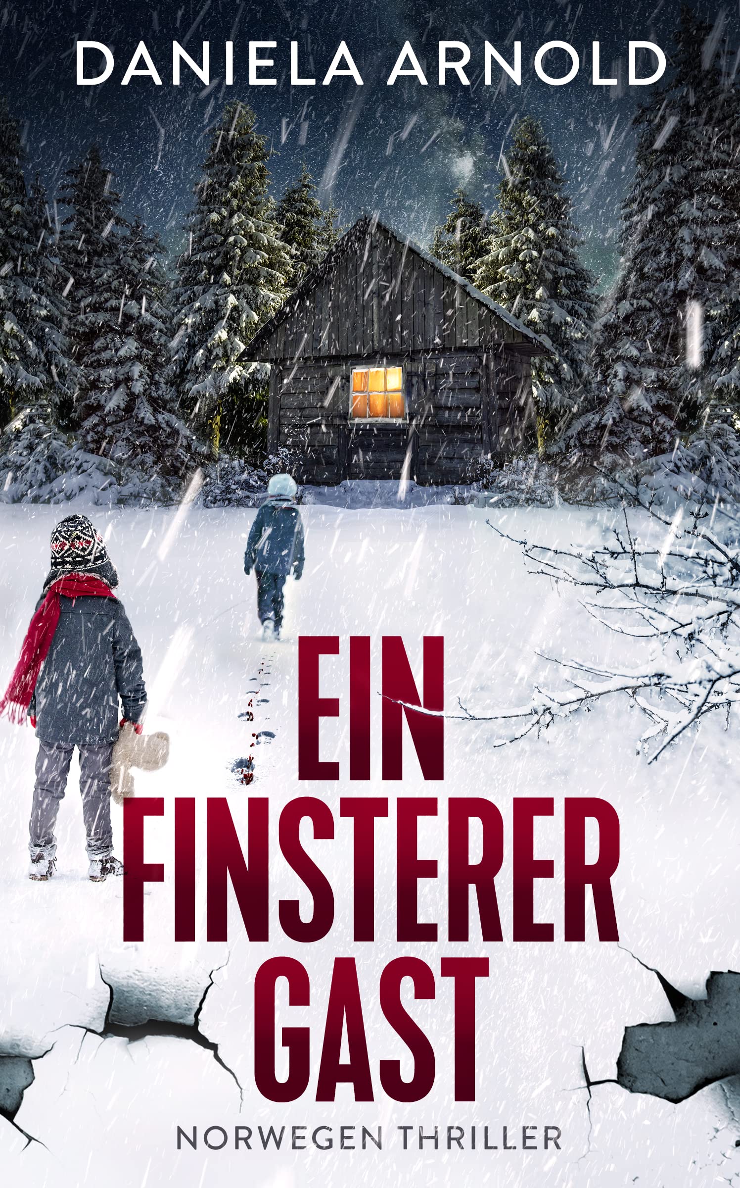 Ein finsterer Gast: Norwegen-Thriller